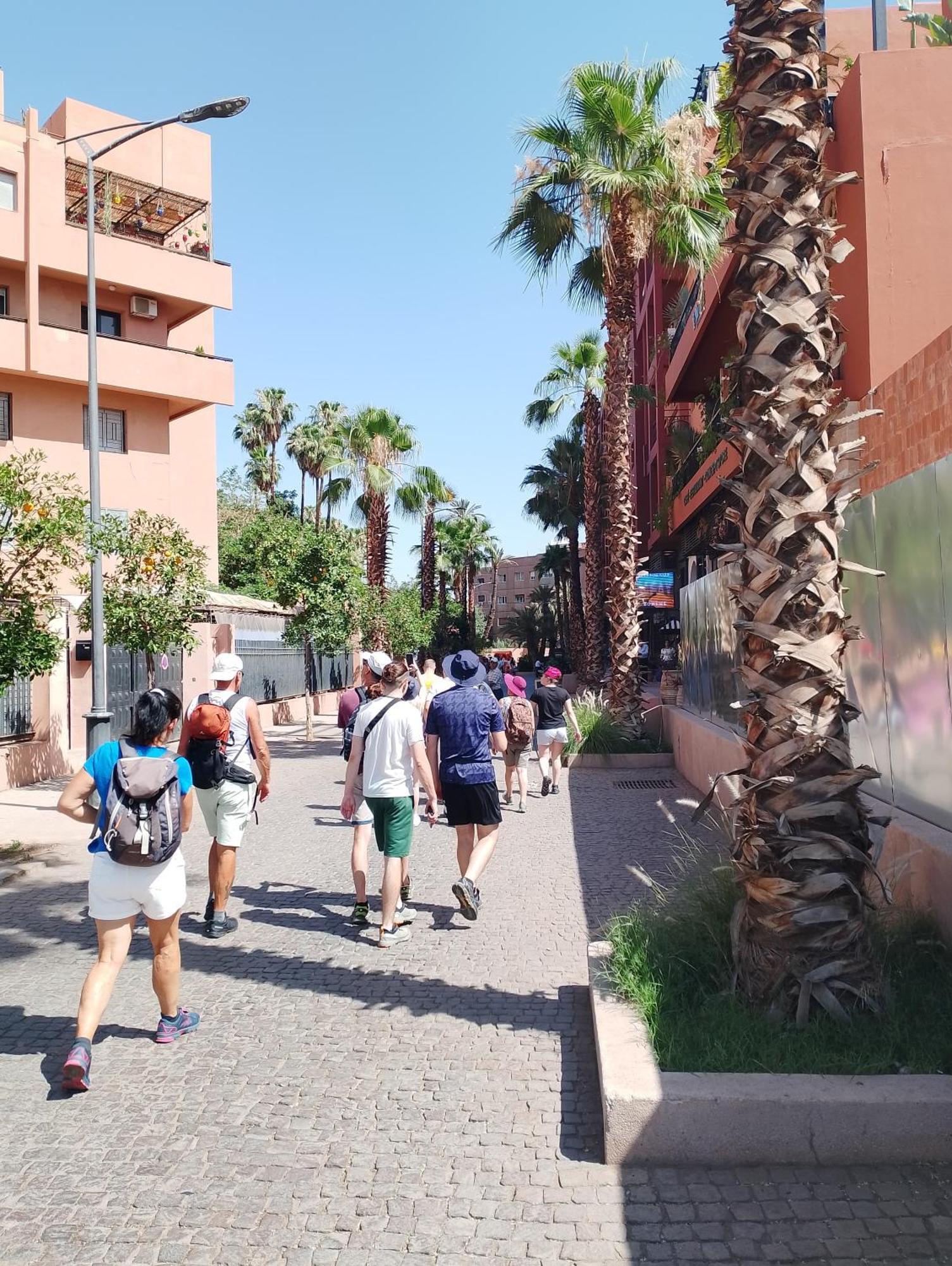 Majorelle Garden Family With Swimming Pool And Cozy Terrace *