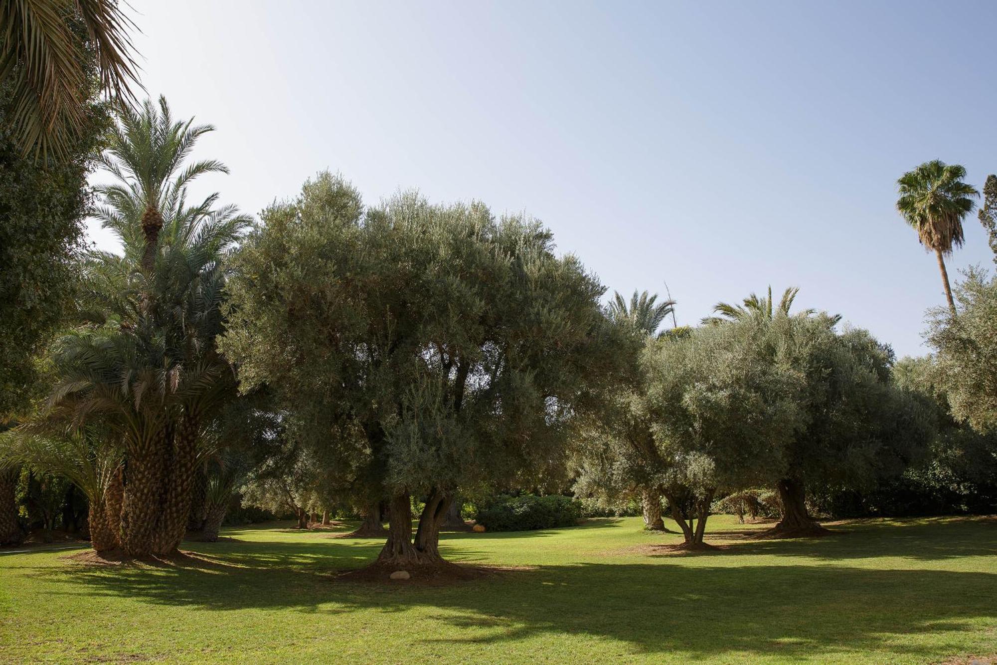 Villa Dar El Hana