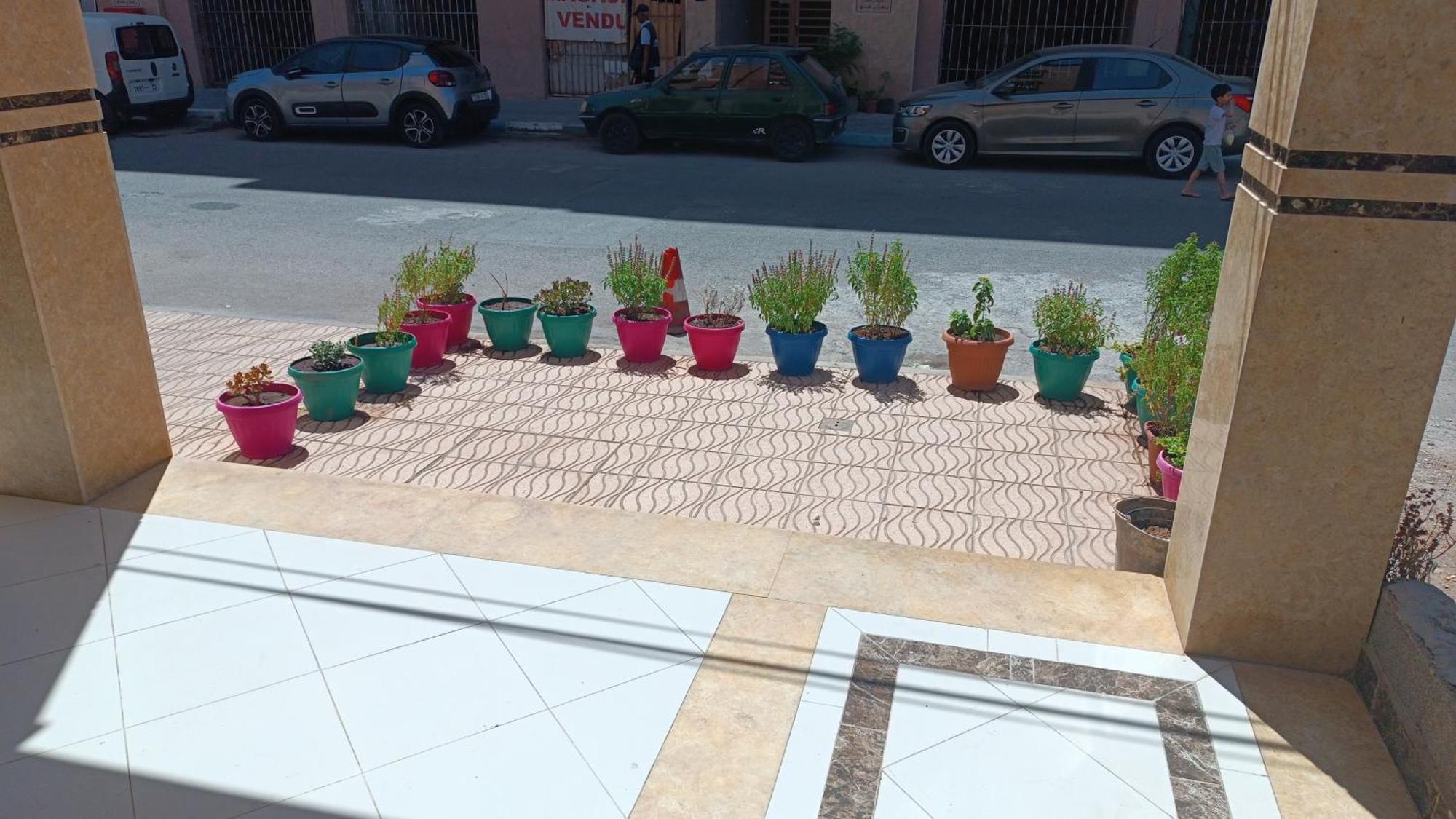 Chez Bousfyha Marrakesh