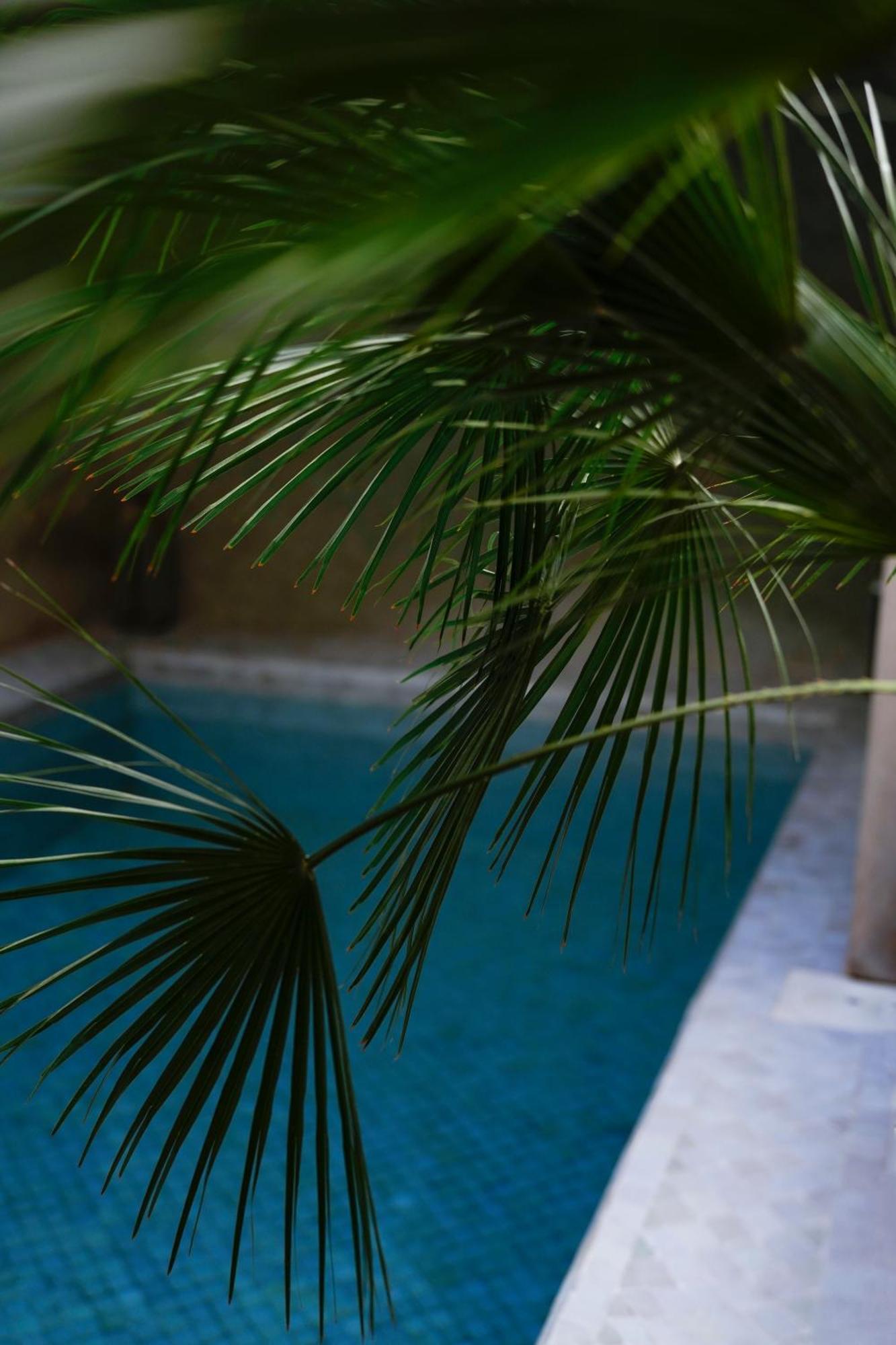 Al Massarah Marrakesh