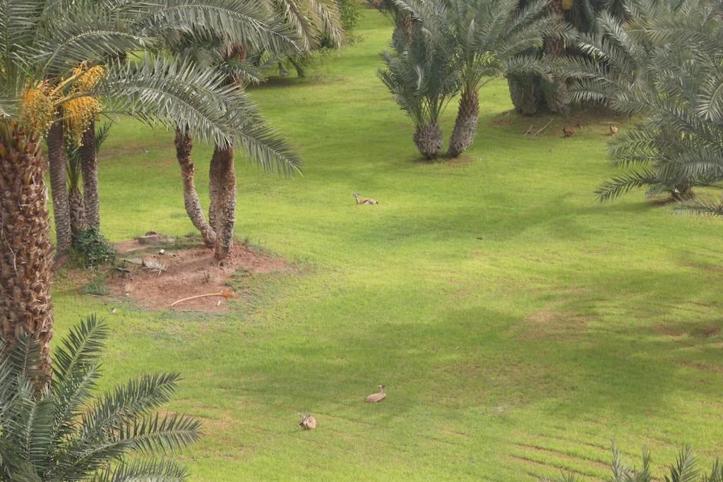 Nolya Luxury Marrakech - Totalement Renove - Capacite Jusqu A 10 Lits Spacieux * Marrakesh