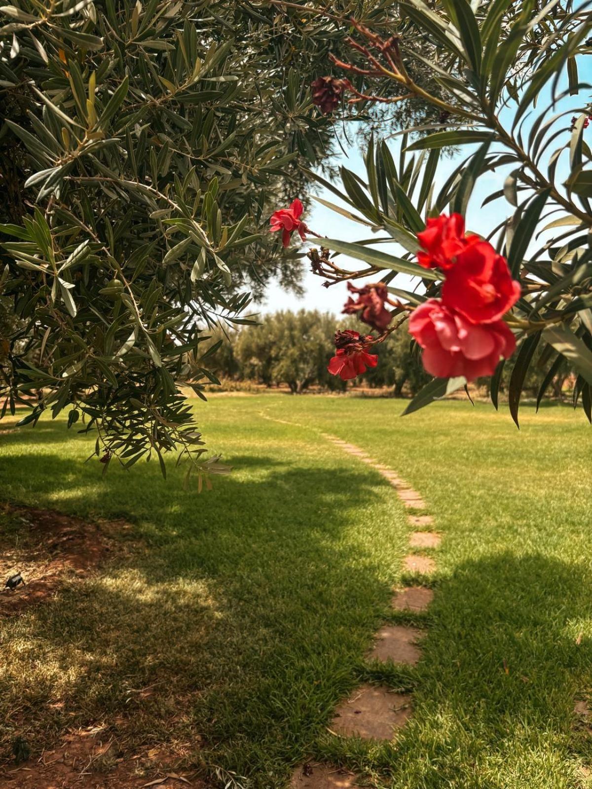 Domaine Golfique Lamrah - 10 Villa