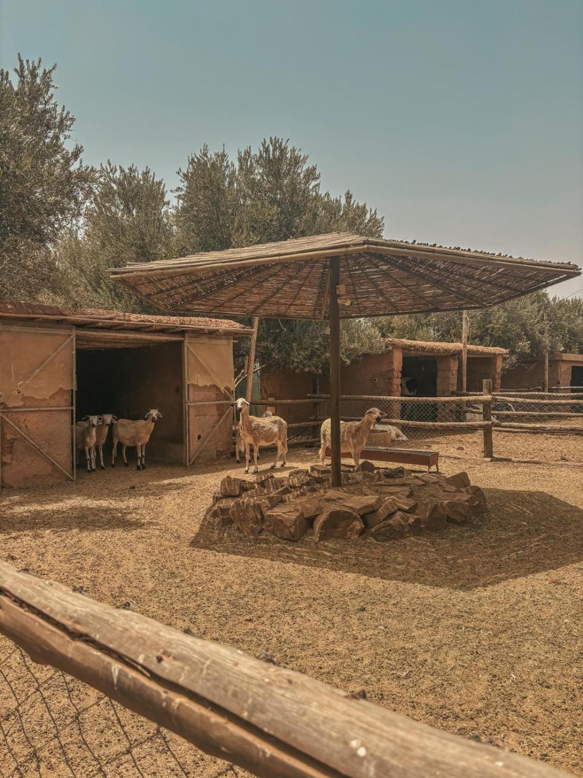 Domaine Golfique Lamrah - 10 Marrakesh