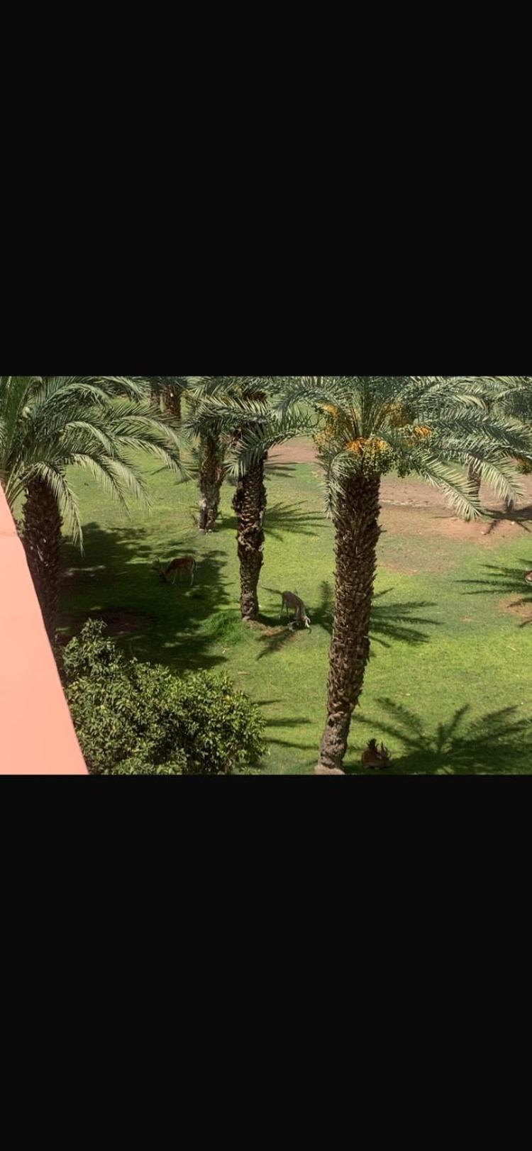 Nolya Luxury Marrakech - Totalement Renove - Capacite Jusqu A 10 Lits Spacieux * Marrakesh