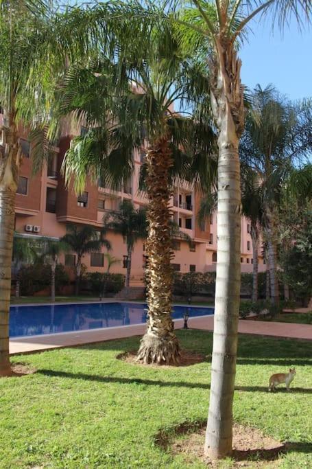 Lagon Bleu Assafa- Services All-inconciergerie Marrakesh