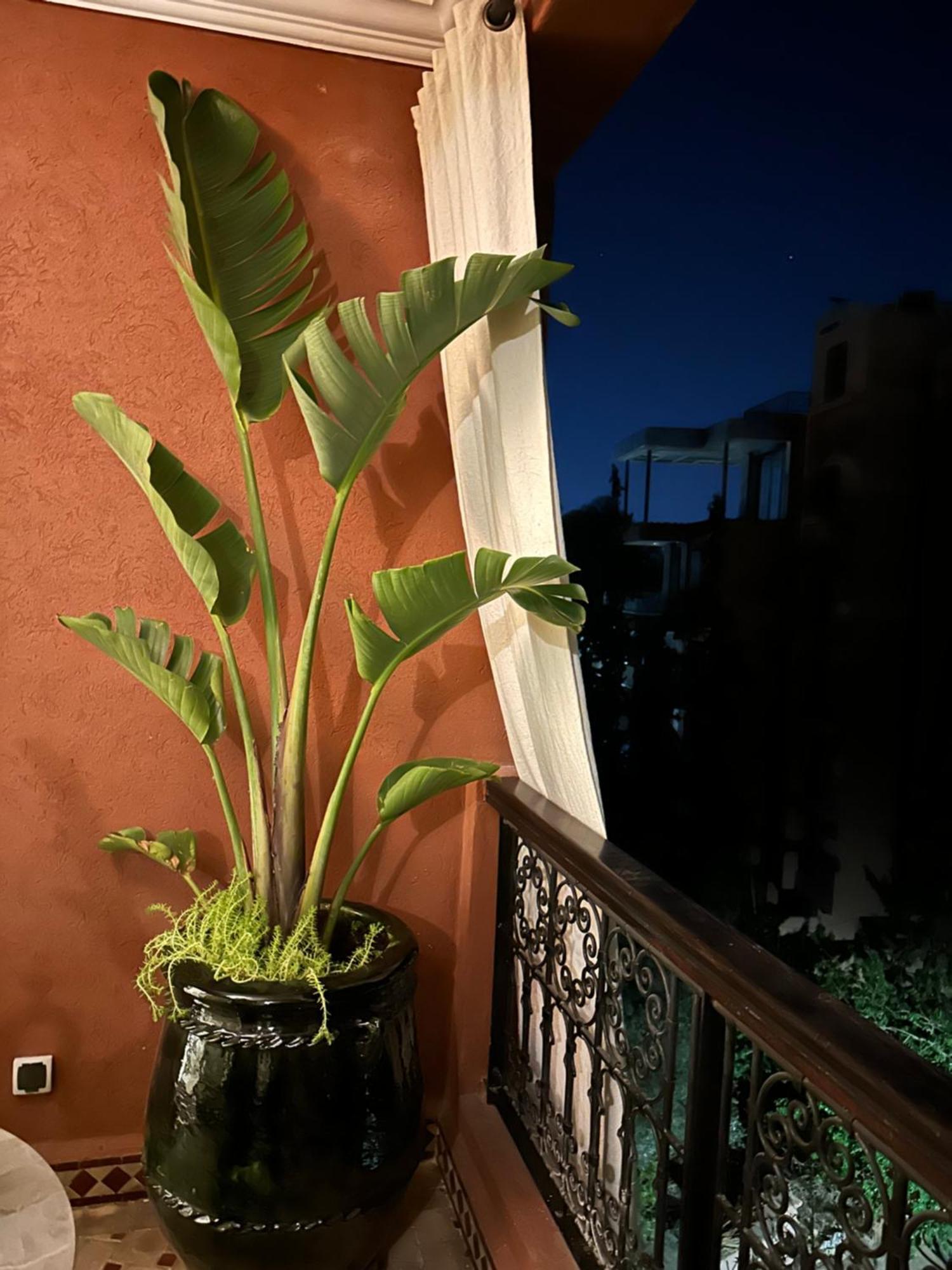 Appartement Prestige 2br Marrakesh
