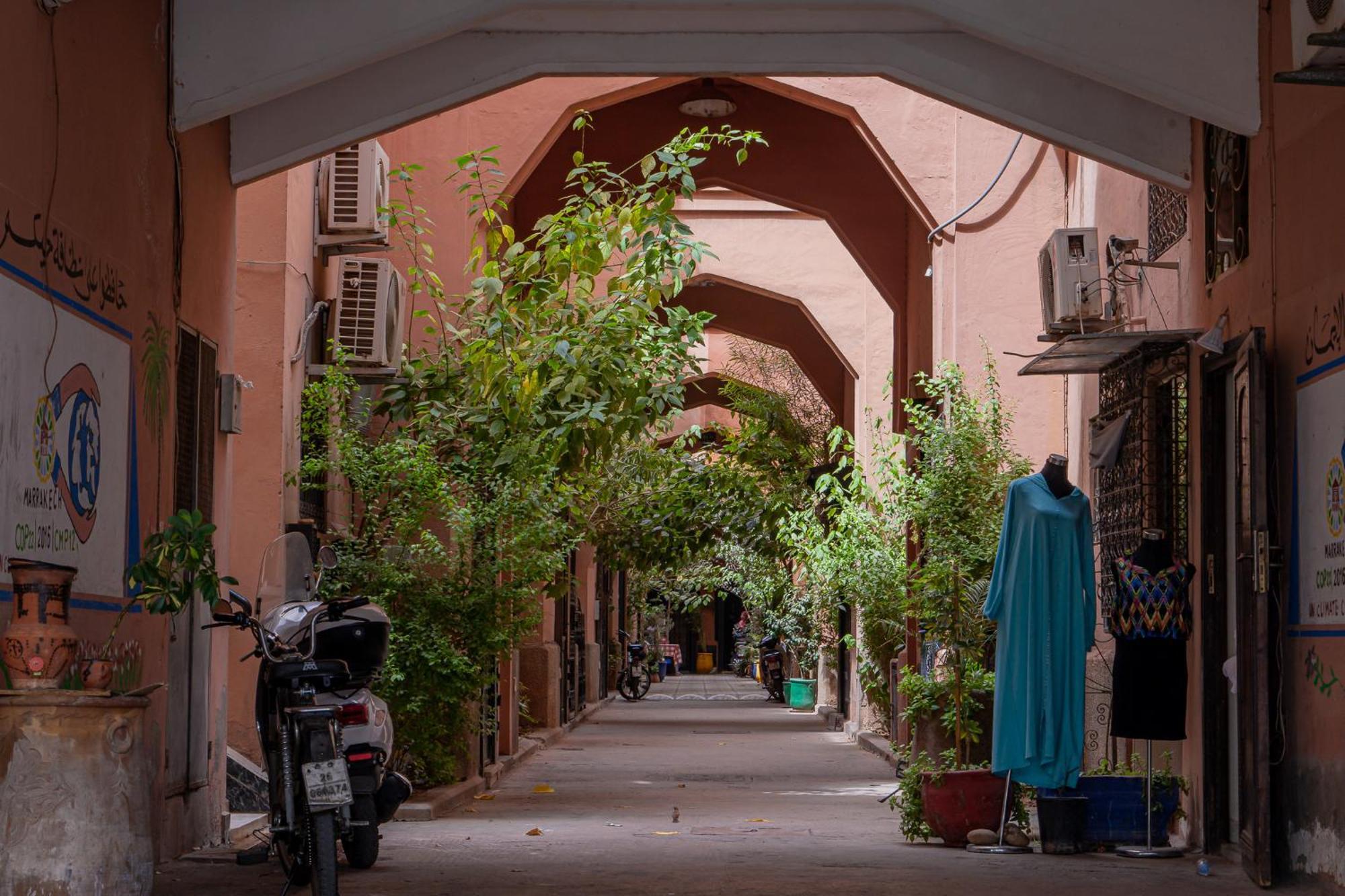 Breizh-coelacanthe Marrakesh