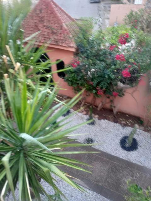 Your Right Choice Villa Marrakesh