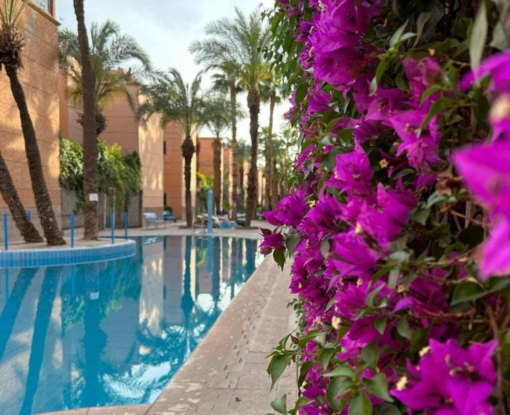 Le Shams Homestay Marrakesh