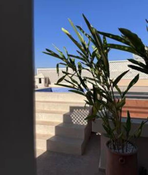 Jarco Marrakech, Coeur Medina, Rooftop, Bassin , Proche Place Jemaa El Fna Villa