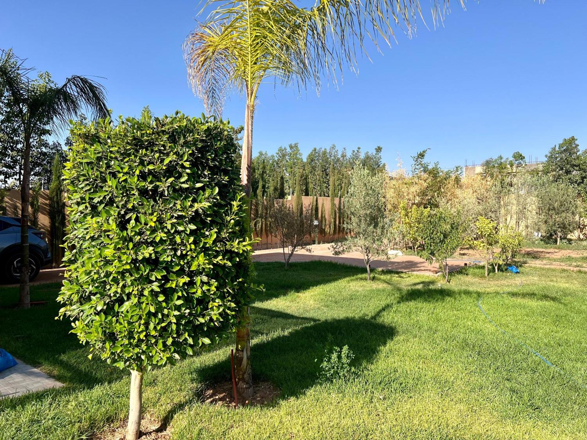 Appartement De Luxe A Marrakesh