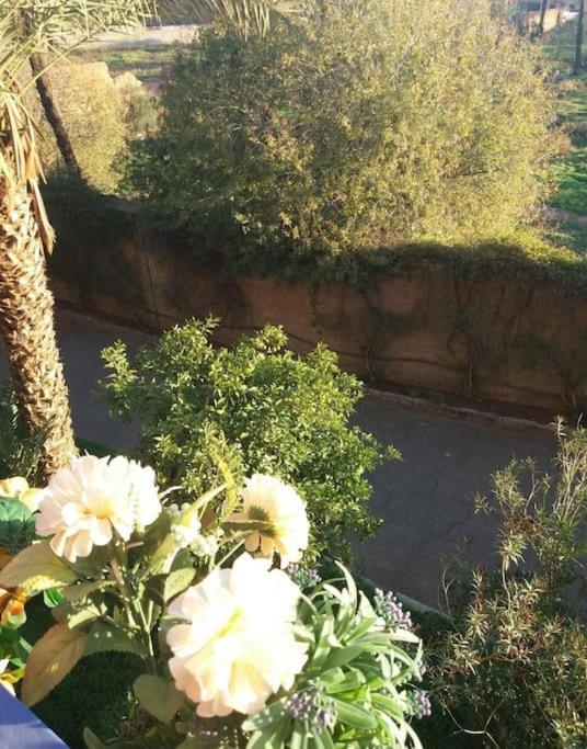 Appartement Centre Majorelle Avec Parking Gratuit