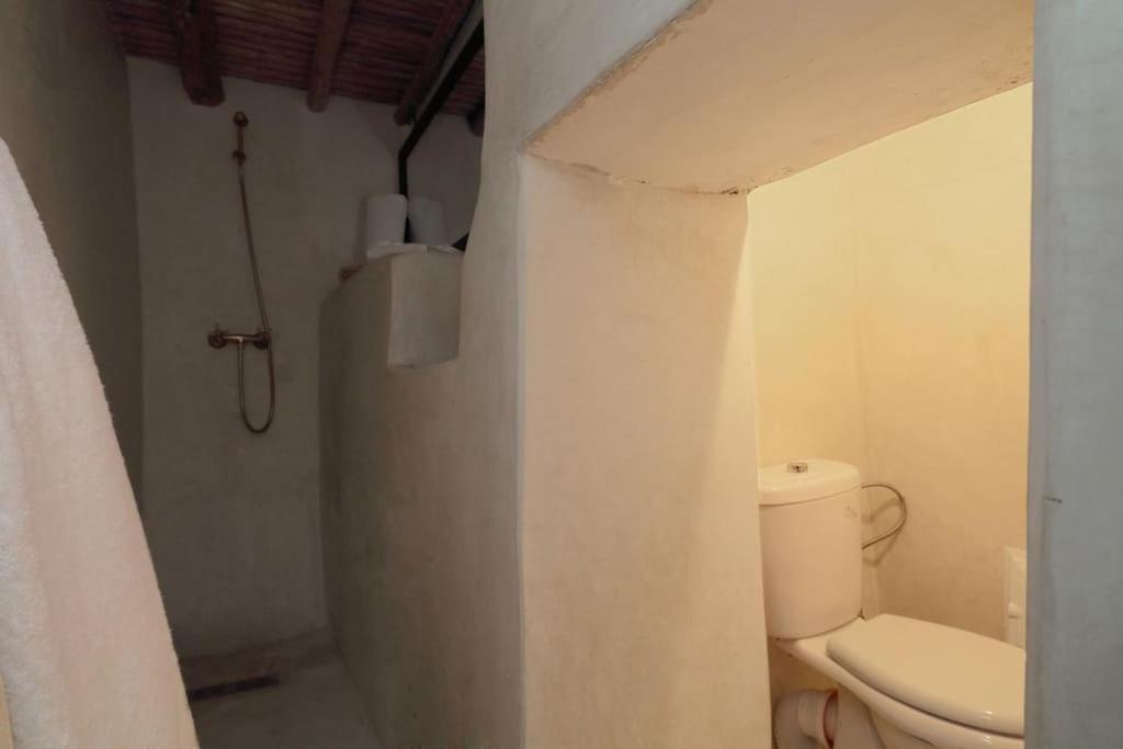 Haloma 90m2 In Der Medina Mit Terrasse Vakantiehuis