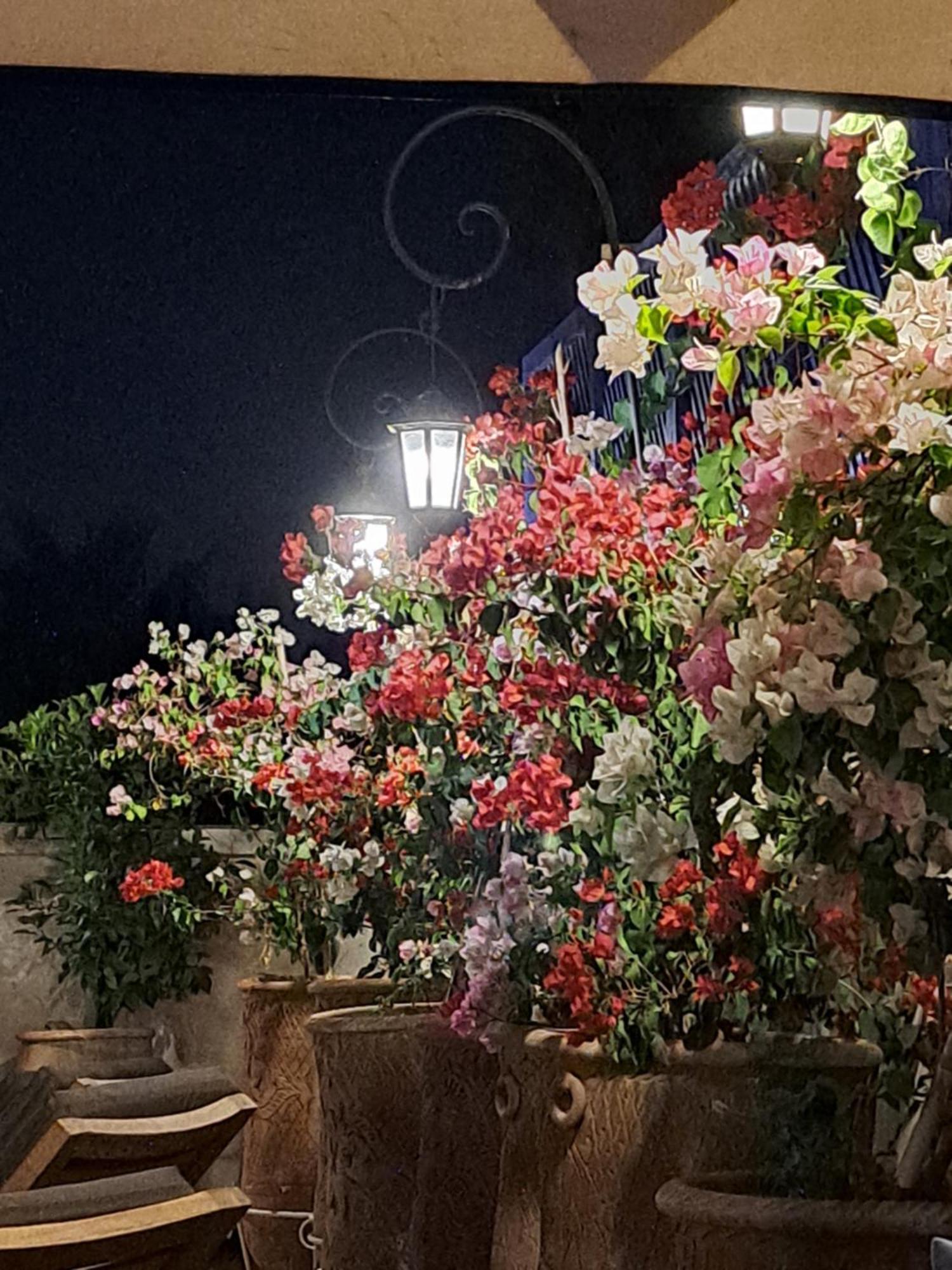 Dar Al Kounouz Bed & Breakfast 3*