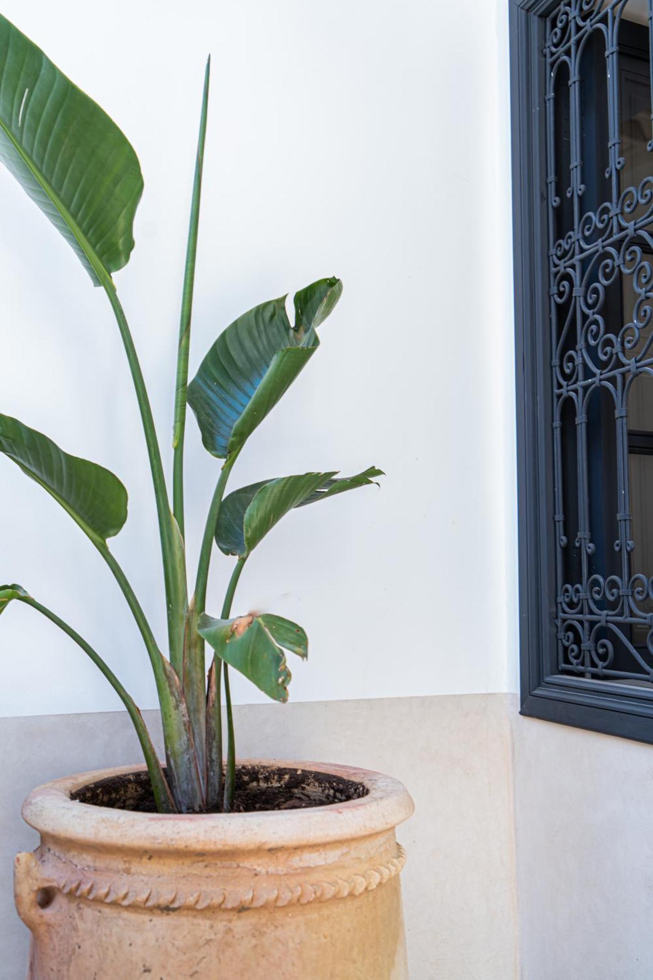 Riad Copah Marrakesh