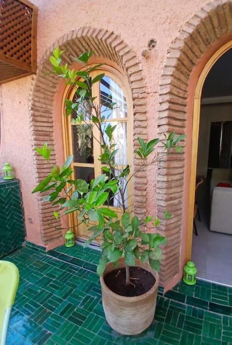 Palmeraie Avec Terrasse * Marrakesh