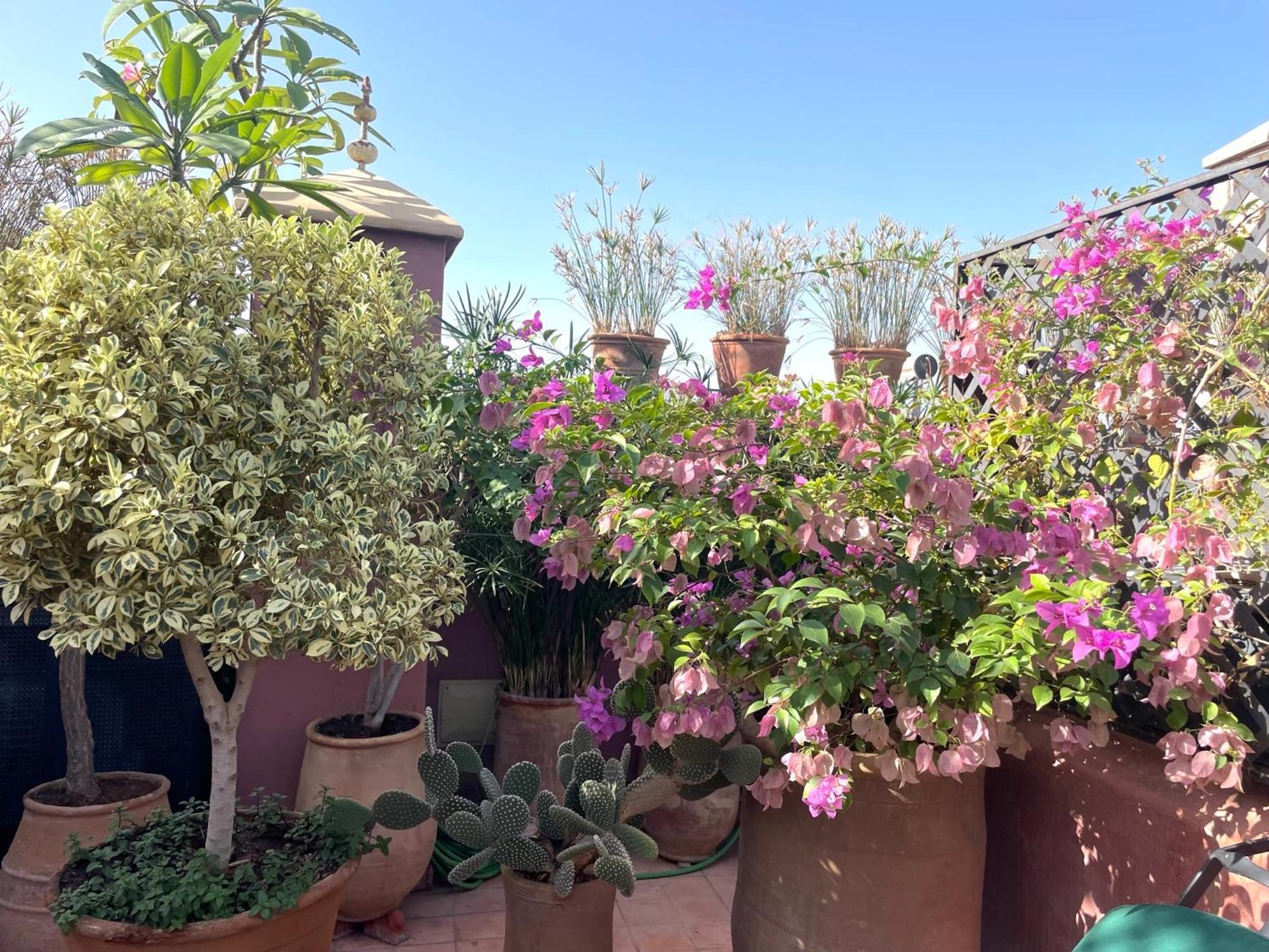 Dar Al Assad 5* Marrakesh