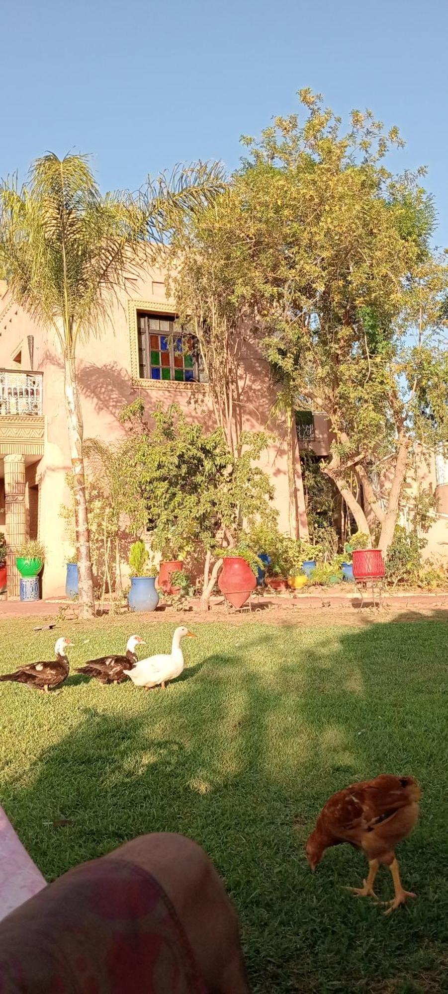 Hébergement de vacances Jamarou Marrakesh