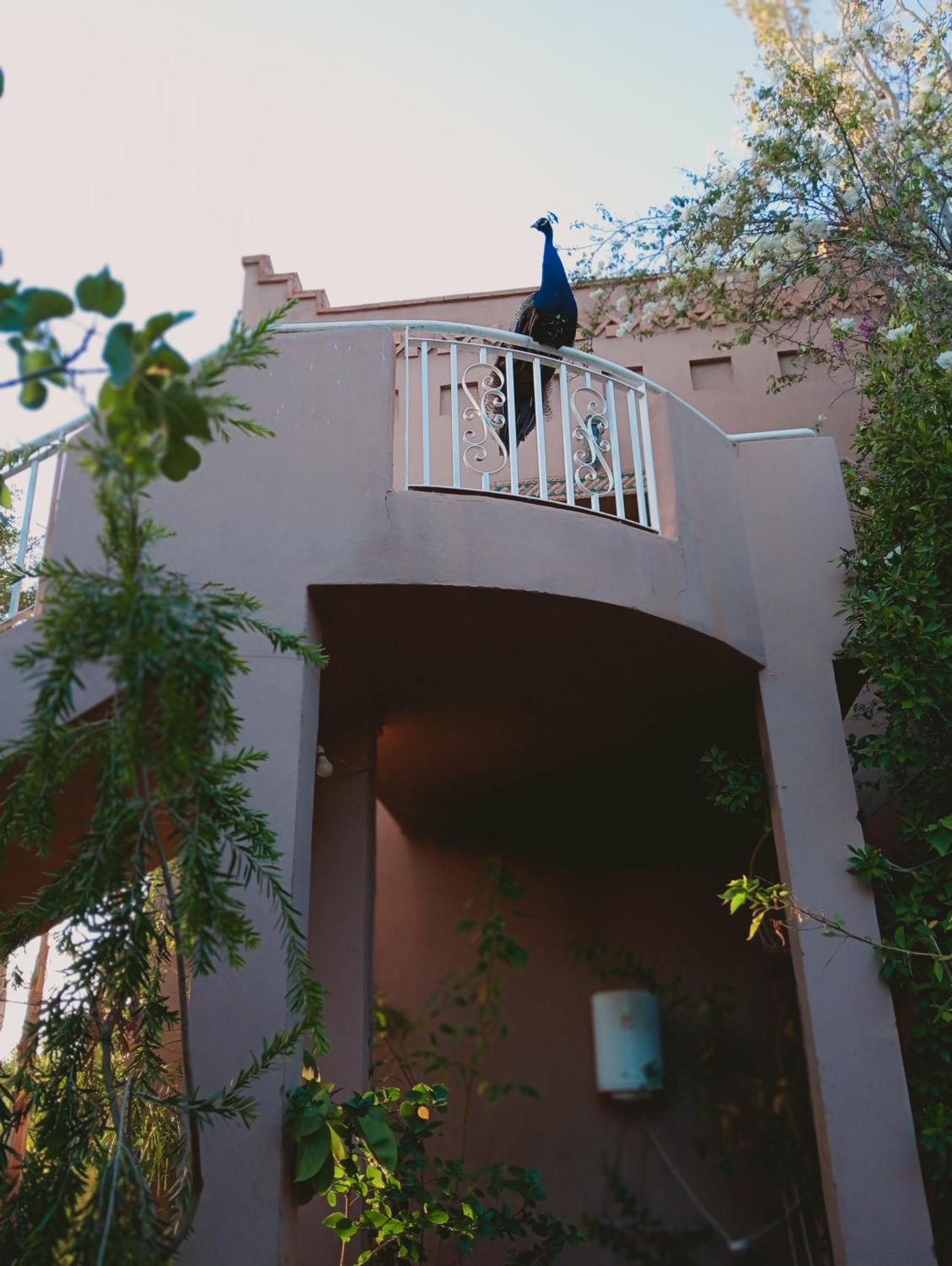Hébergement de vacances Jamarou Marrakesh