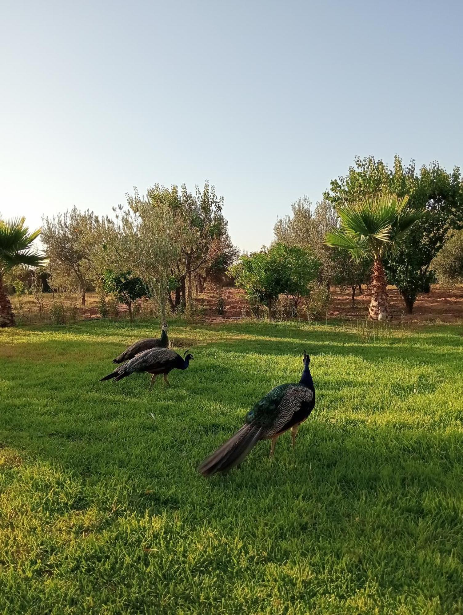 Hébergement de vacances Jamarou