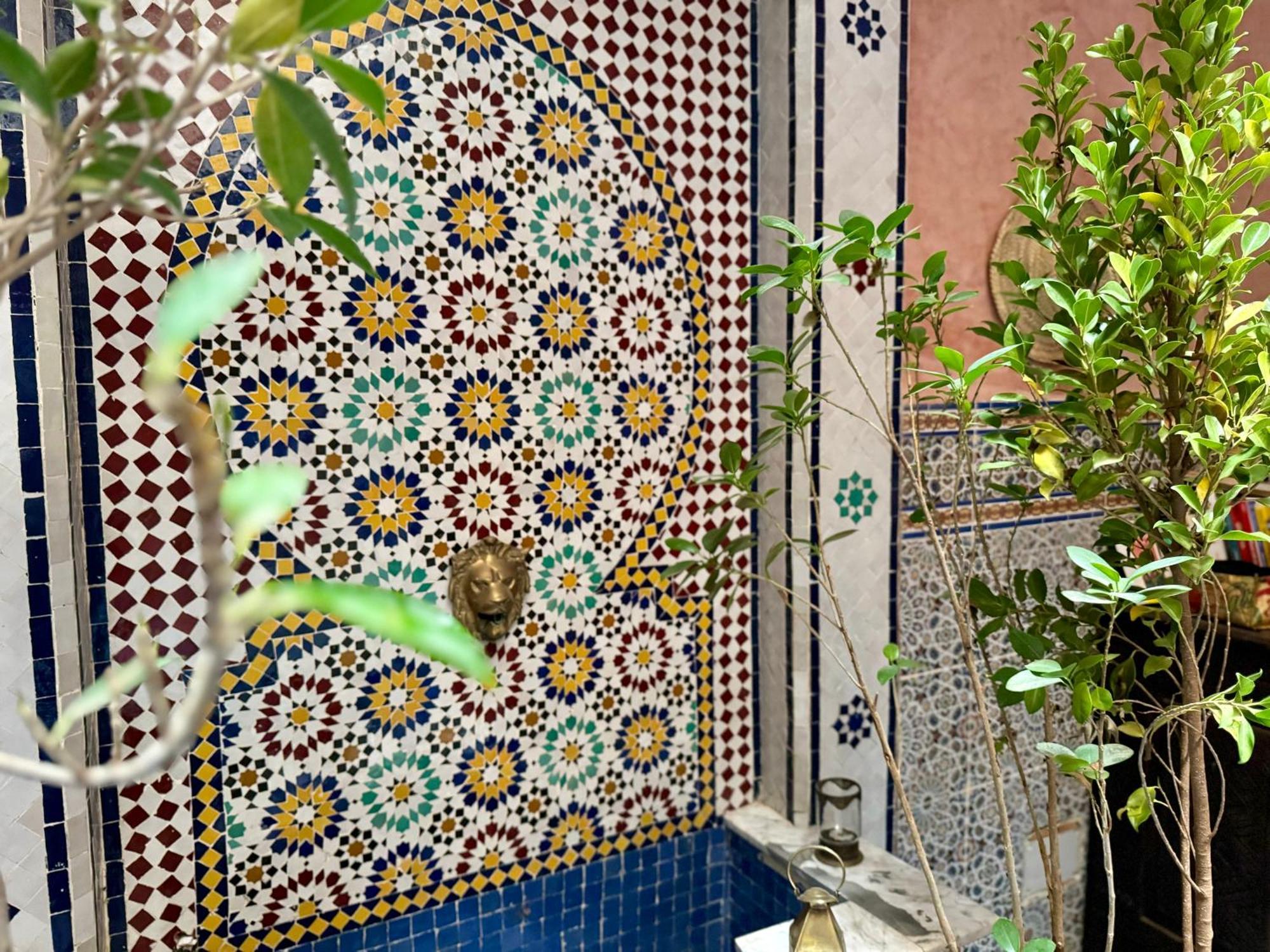 Flottement Des Songes Riad *