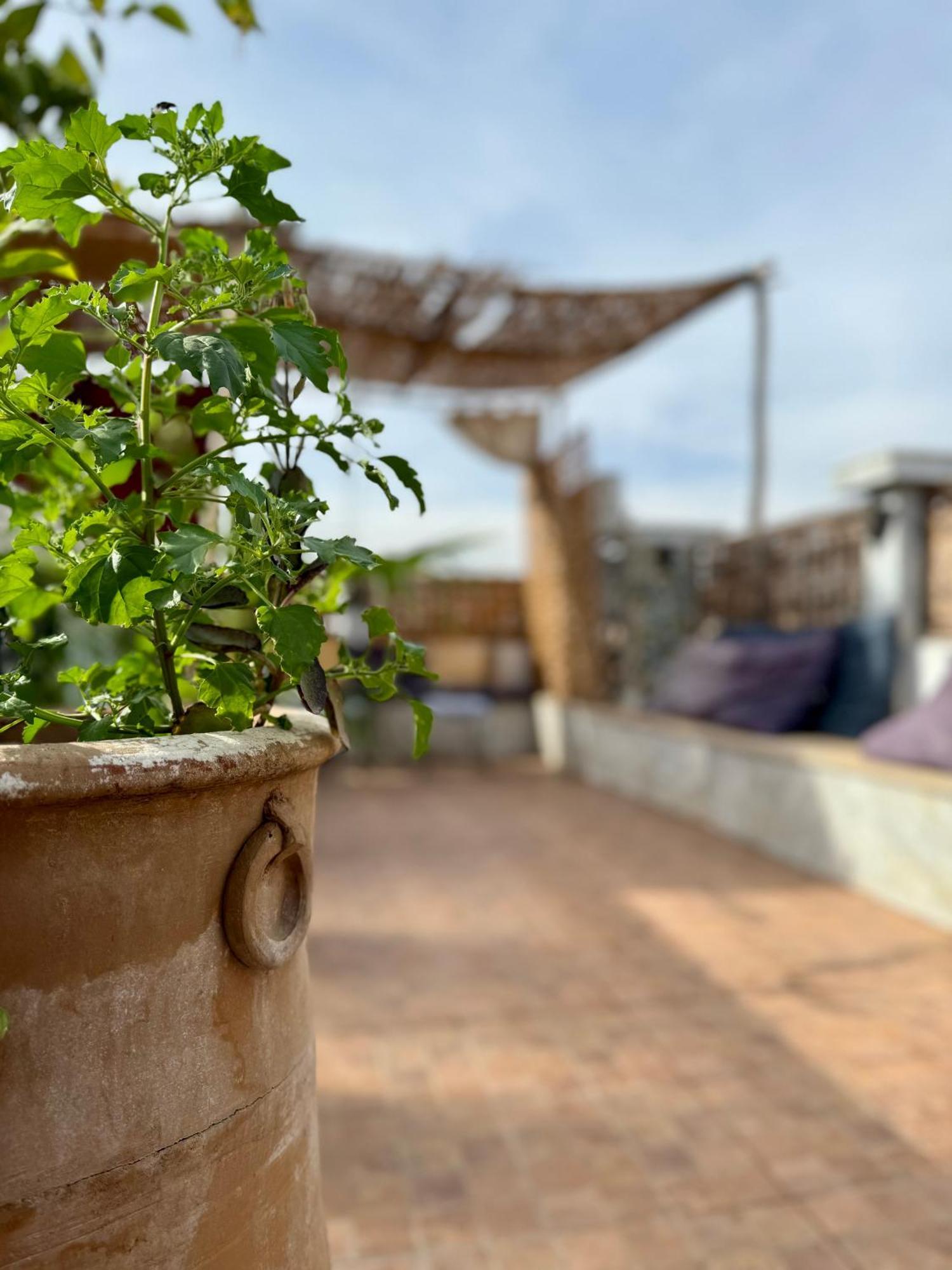 Flottement Des Songes Riad Marrakesh