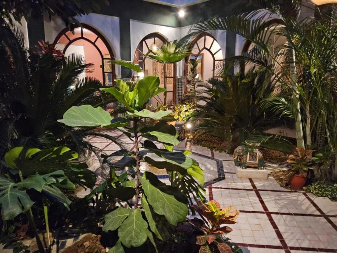 Palmeraie In Marrakech * Marrakesh
