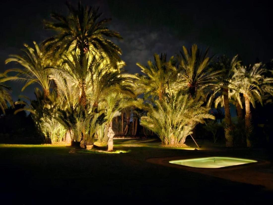 Palmeraie In Marrakech *