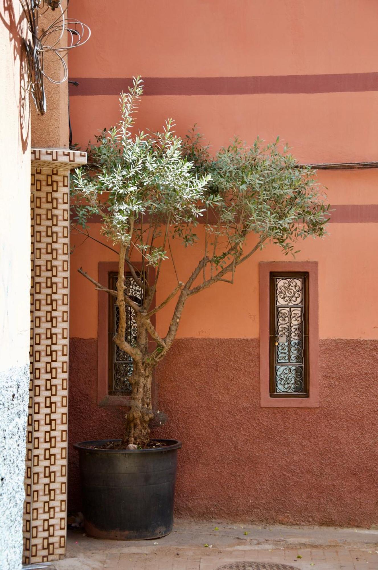 La Claire Fontaine 3* Marrakesch