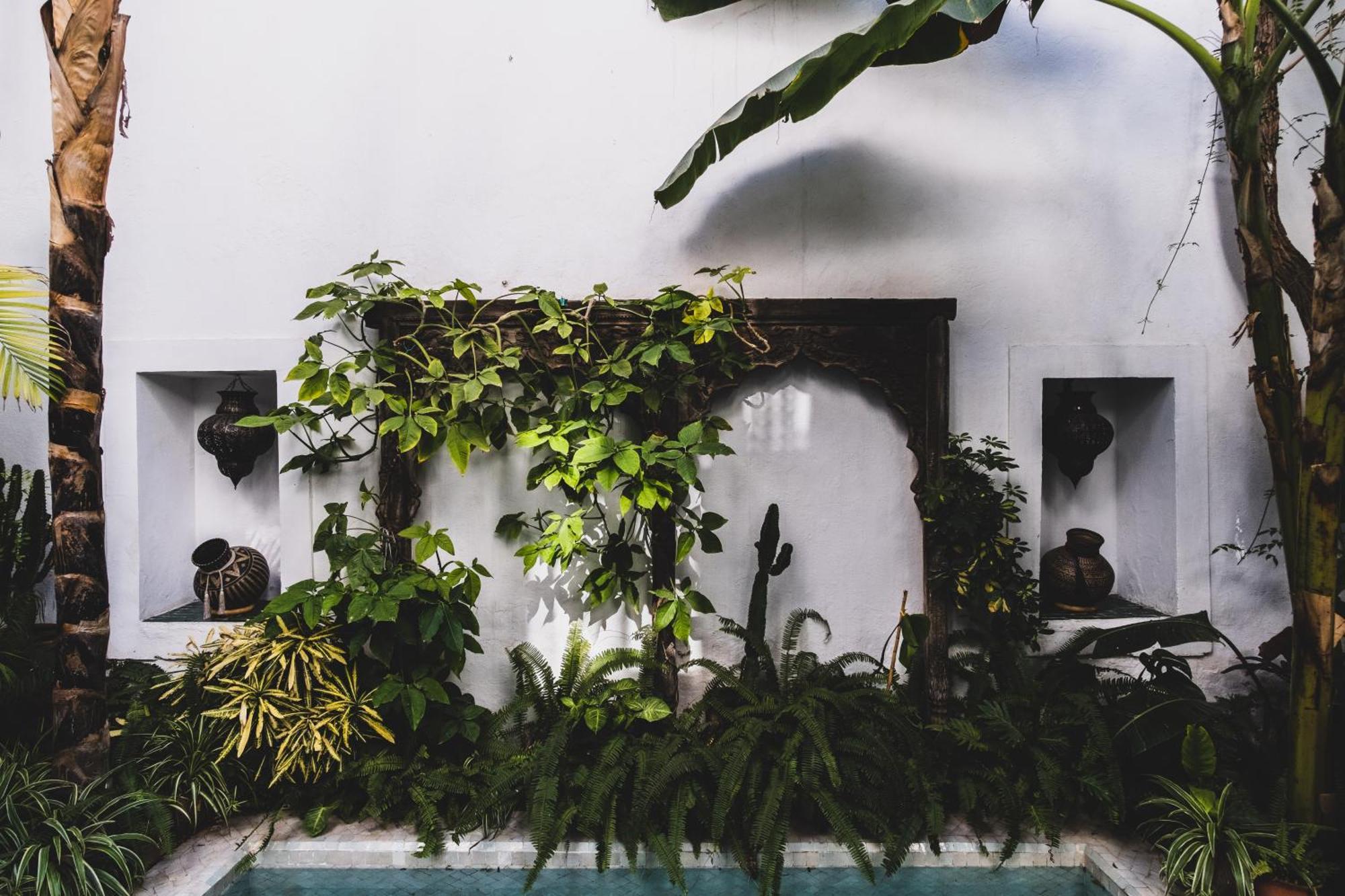 Riad El Ayadi, Moorish *