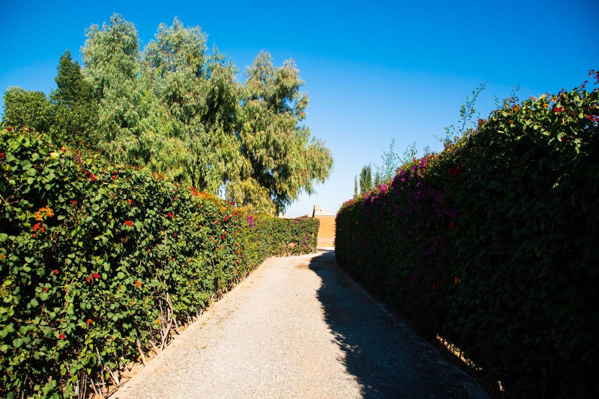 Ferme D'hote Zomorroda Vakantieboerderij Marrakesh
