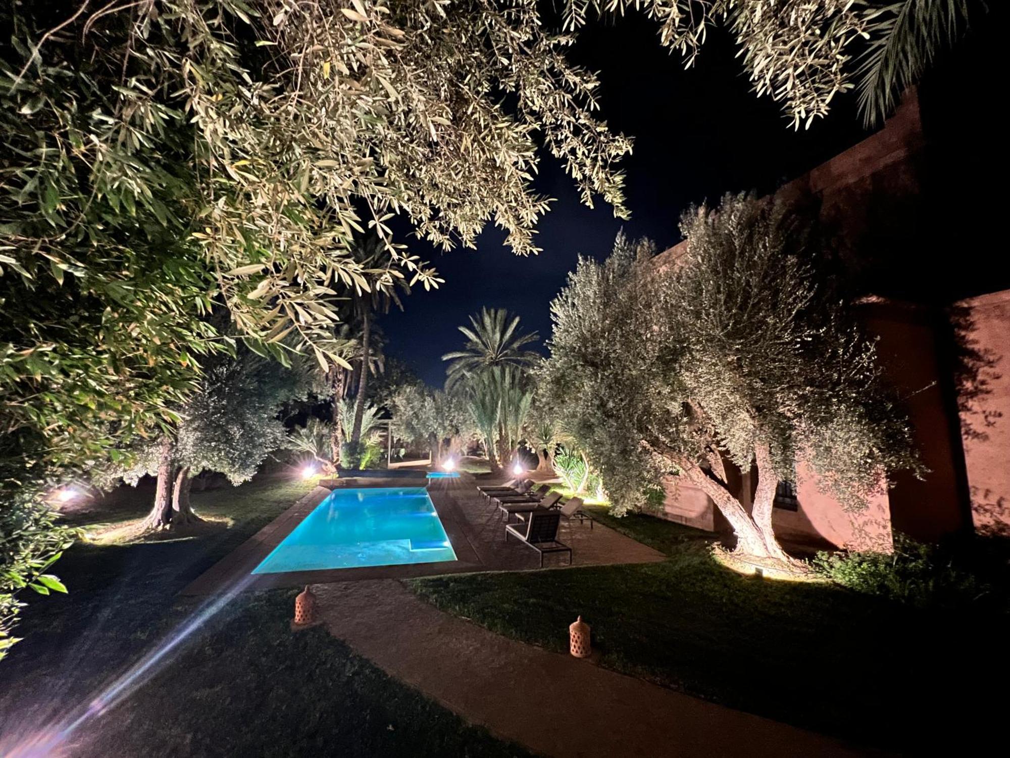 Kasbah De Luxe, Piscine Et Jacuzzi Chauffes, Jardin Tropical *