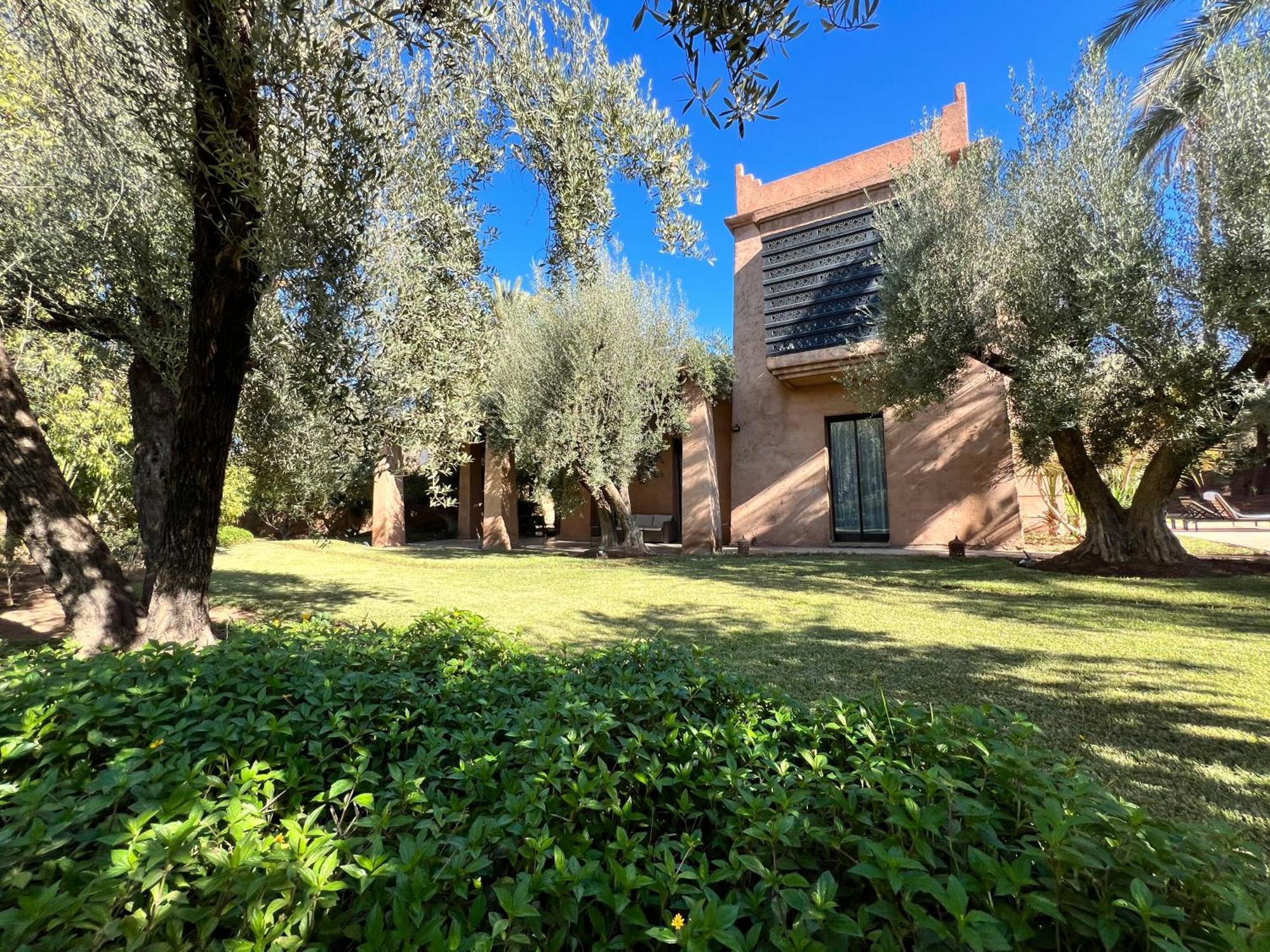 Kasbah De Luxe, Piscine Et Jacuzzi Chauffes, Jardin Tropical Villa