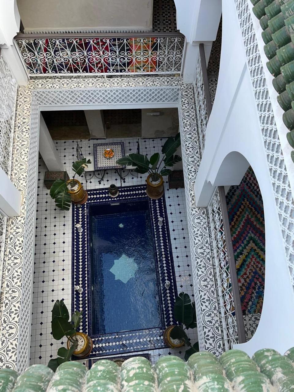 Riad Tarba & *
