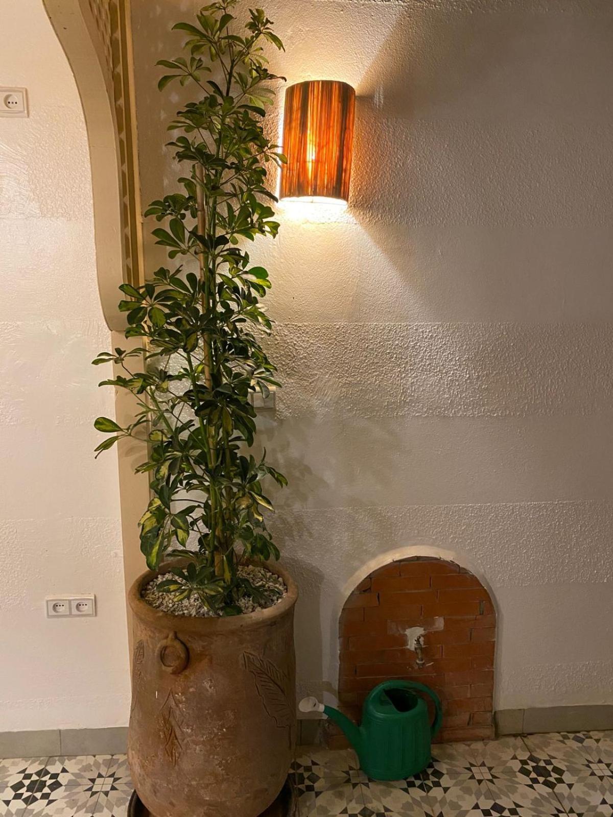 Séjour chez l'habitant Maison Imane Marrakech