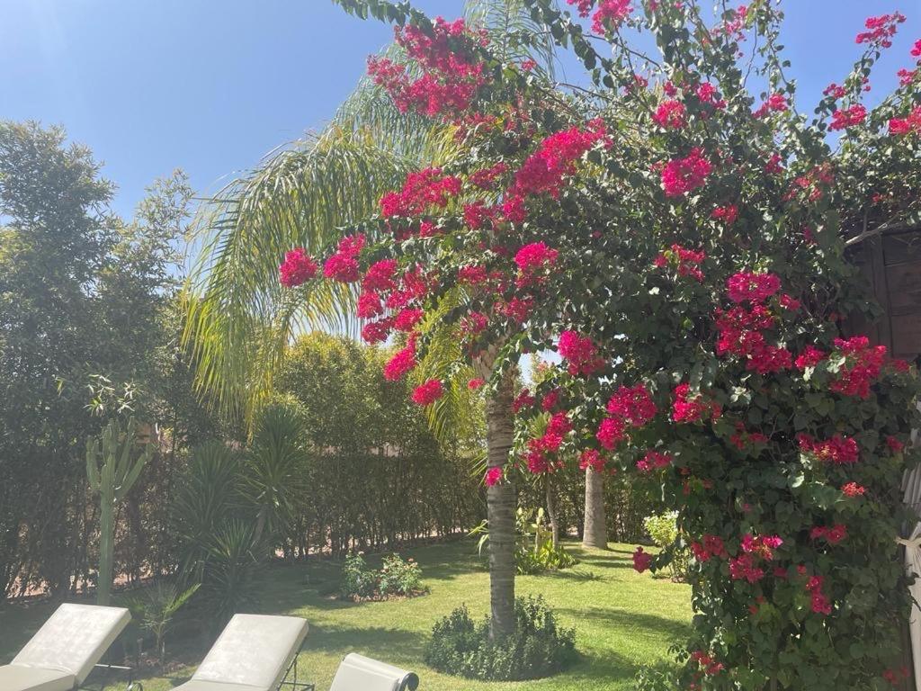 Villa Le Domaine Des 3 Sultans *