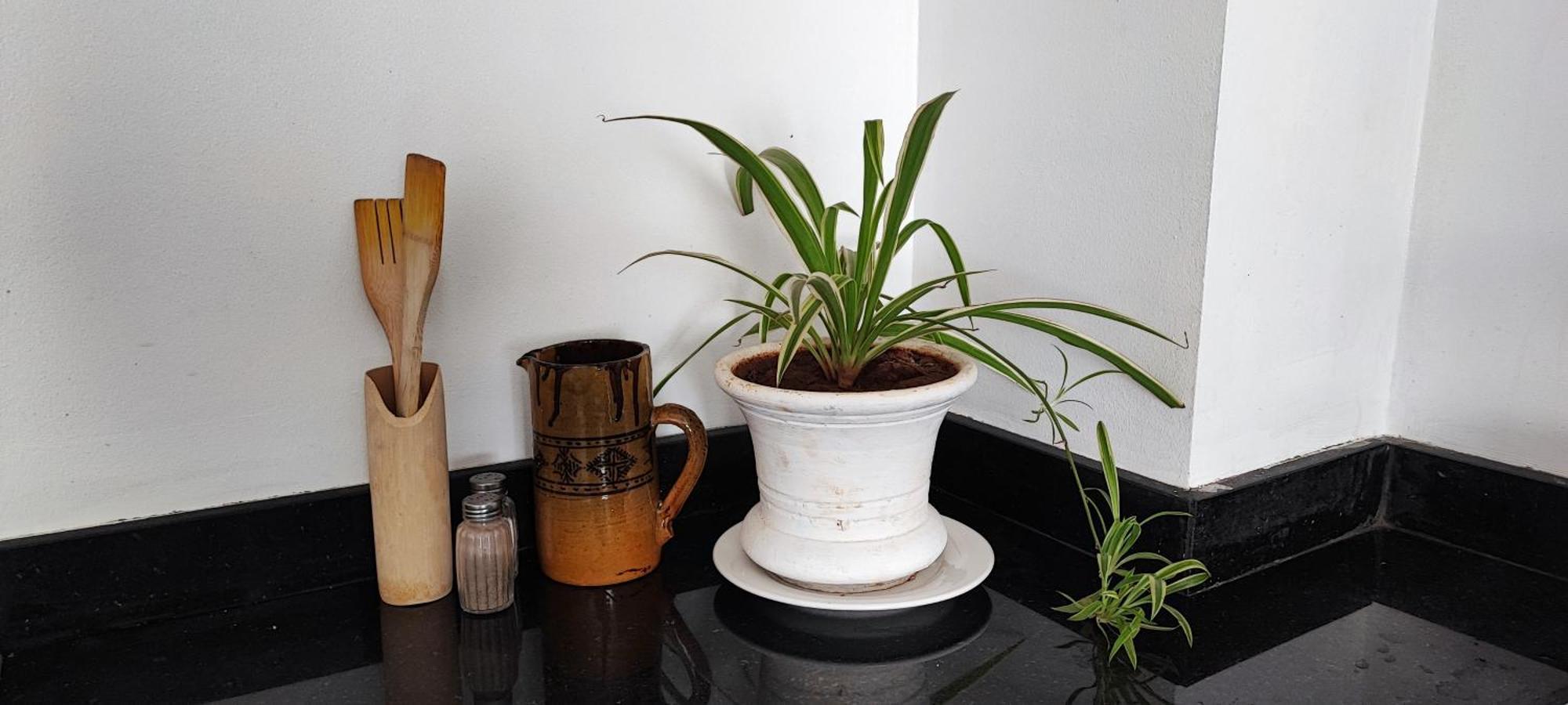 Luxury In Hivernage Marrakech Apartment