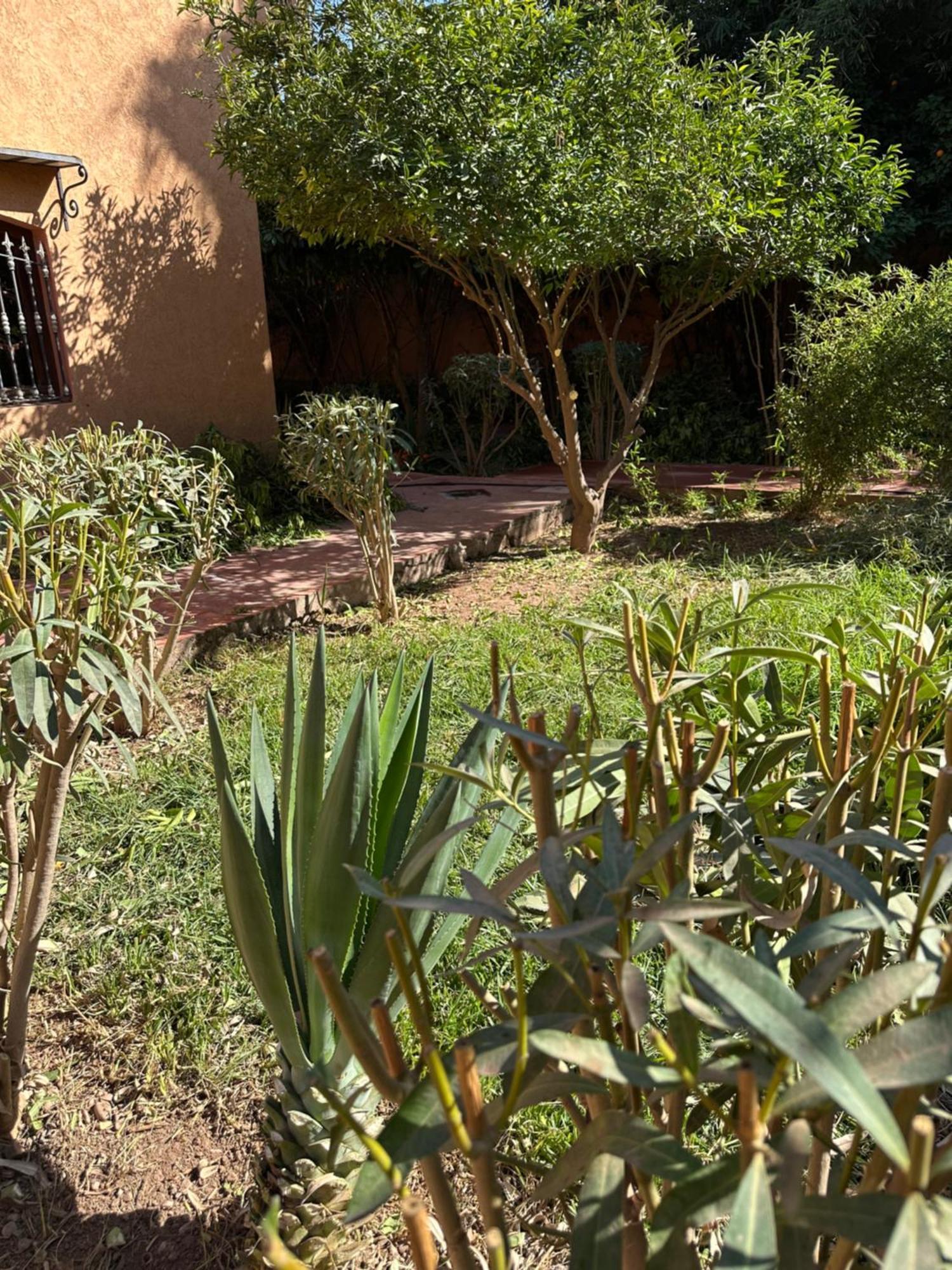 Alloggio in famiglia Fekhara Country Club