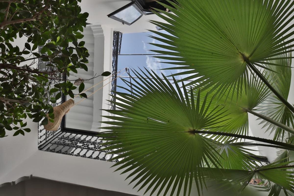La Girafe Blanche De Marrakech Villa *