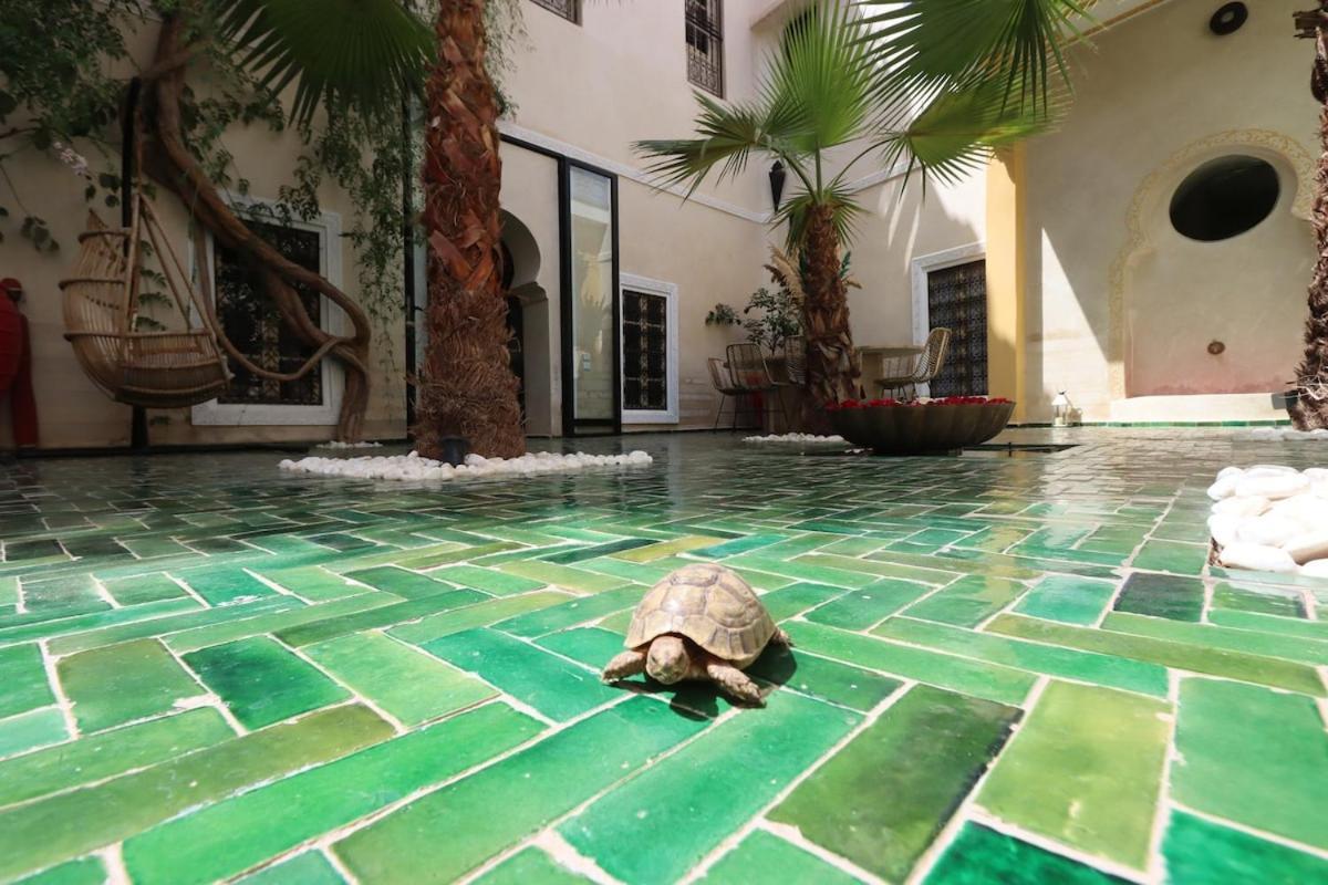 Villa Dar Lysis Private With Pool And Breakfasts *