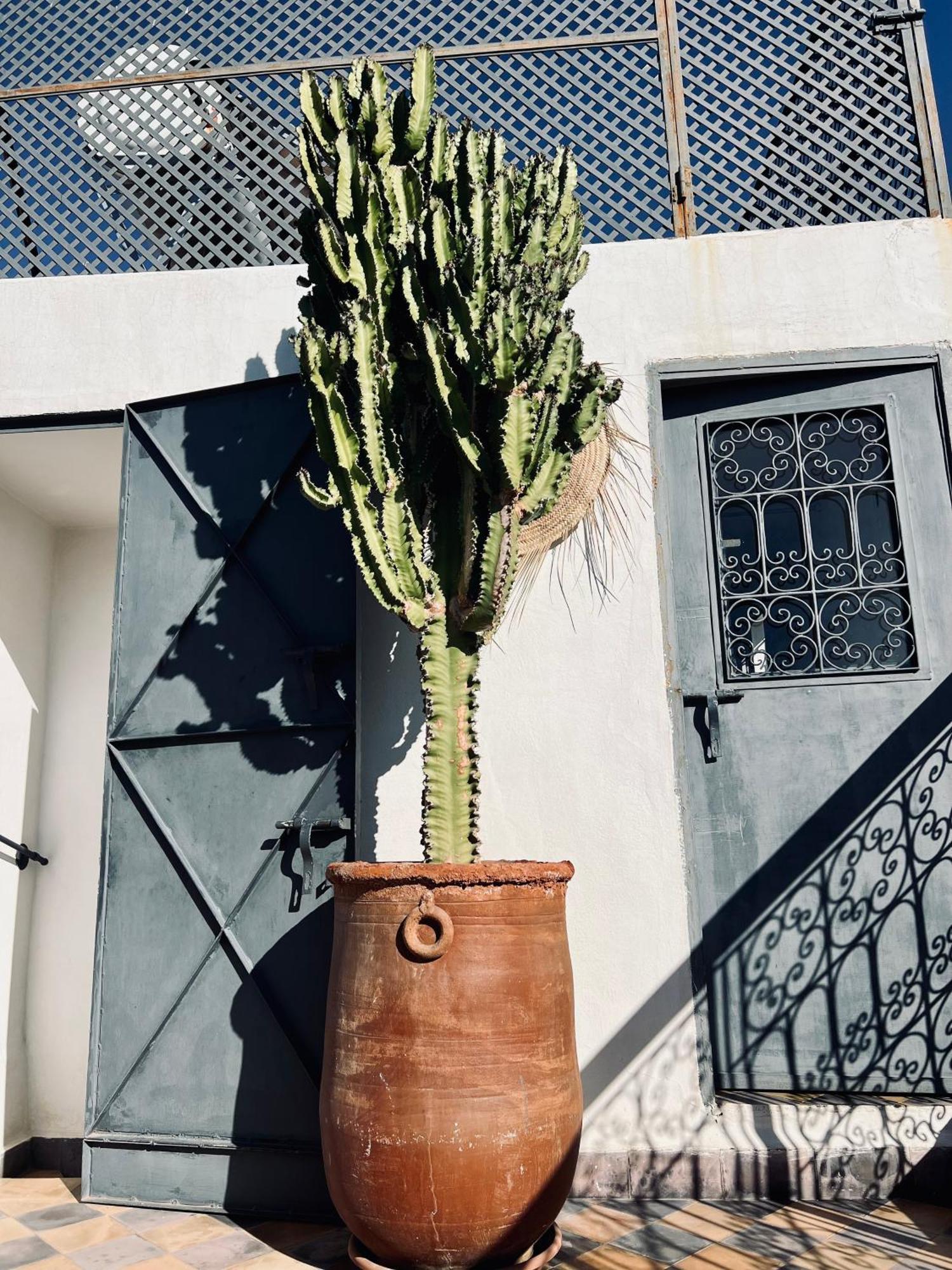Instant T Marrakesh