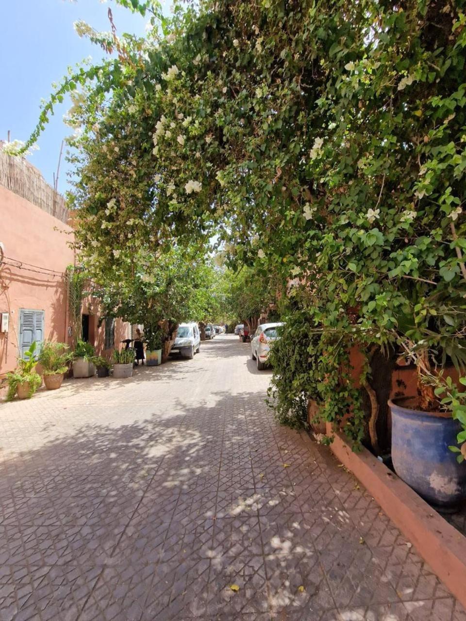 Appartamento Maison 3 Avec Bassin Chauffee Centre Gueliz *