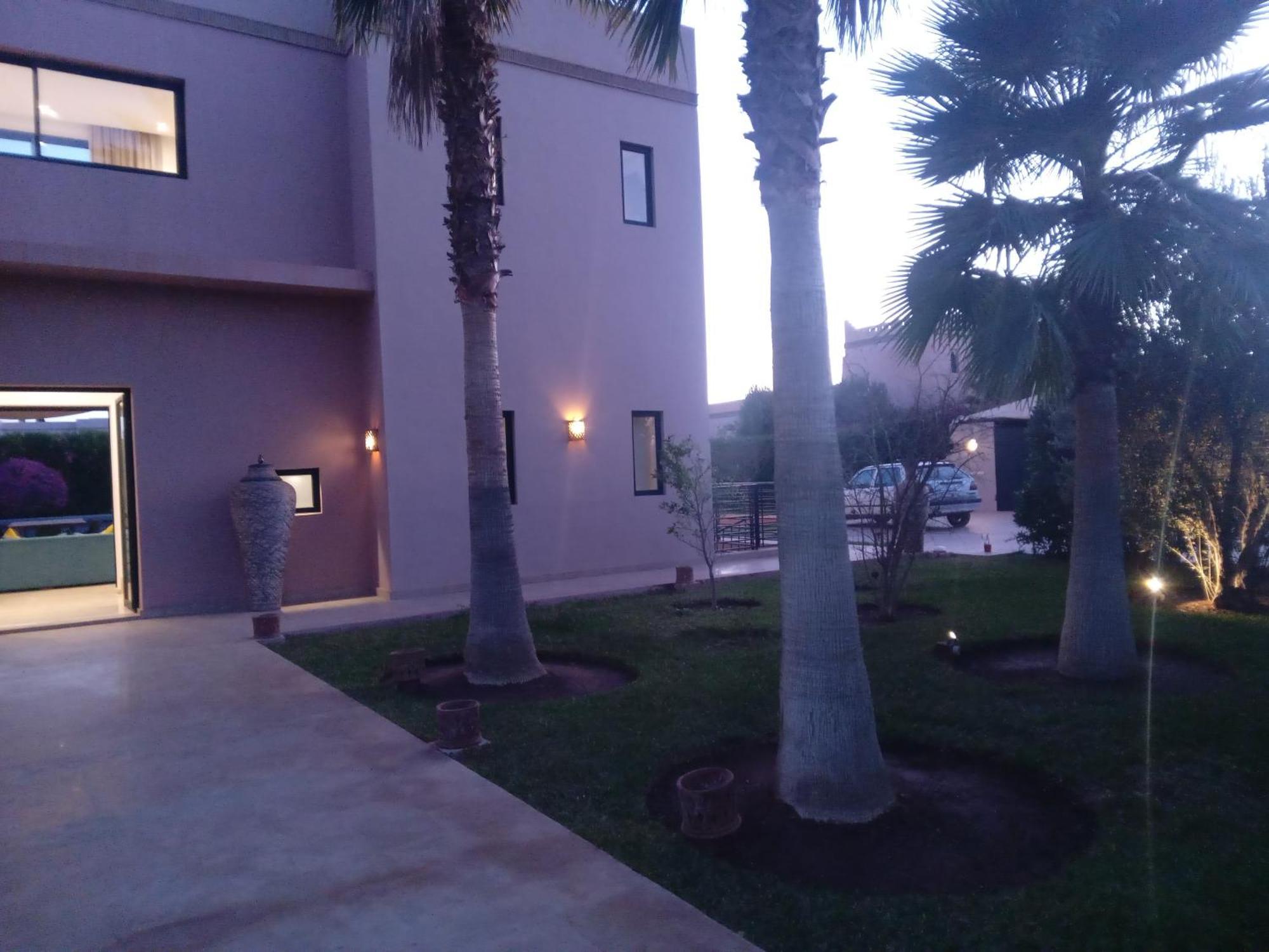 Des Iris Marrakesh