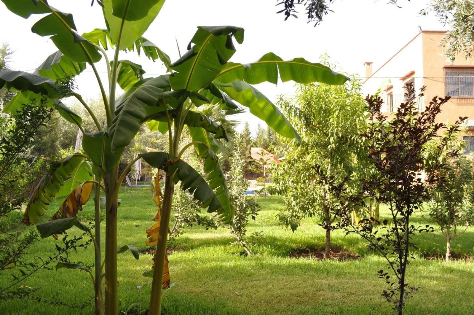 Ilafe Farmhouse, Avec Piscine Chauffee Privee Et Jacuzzi Pour Familles * Marrakesch