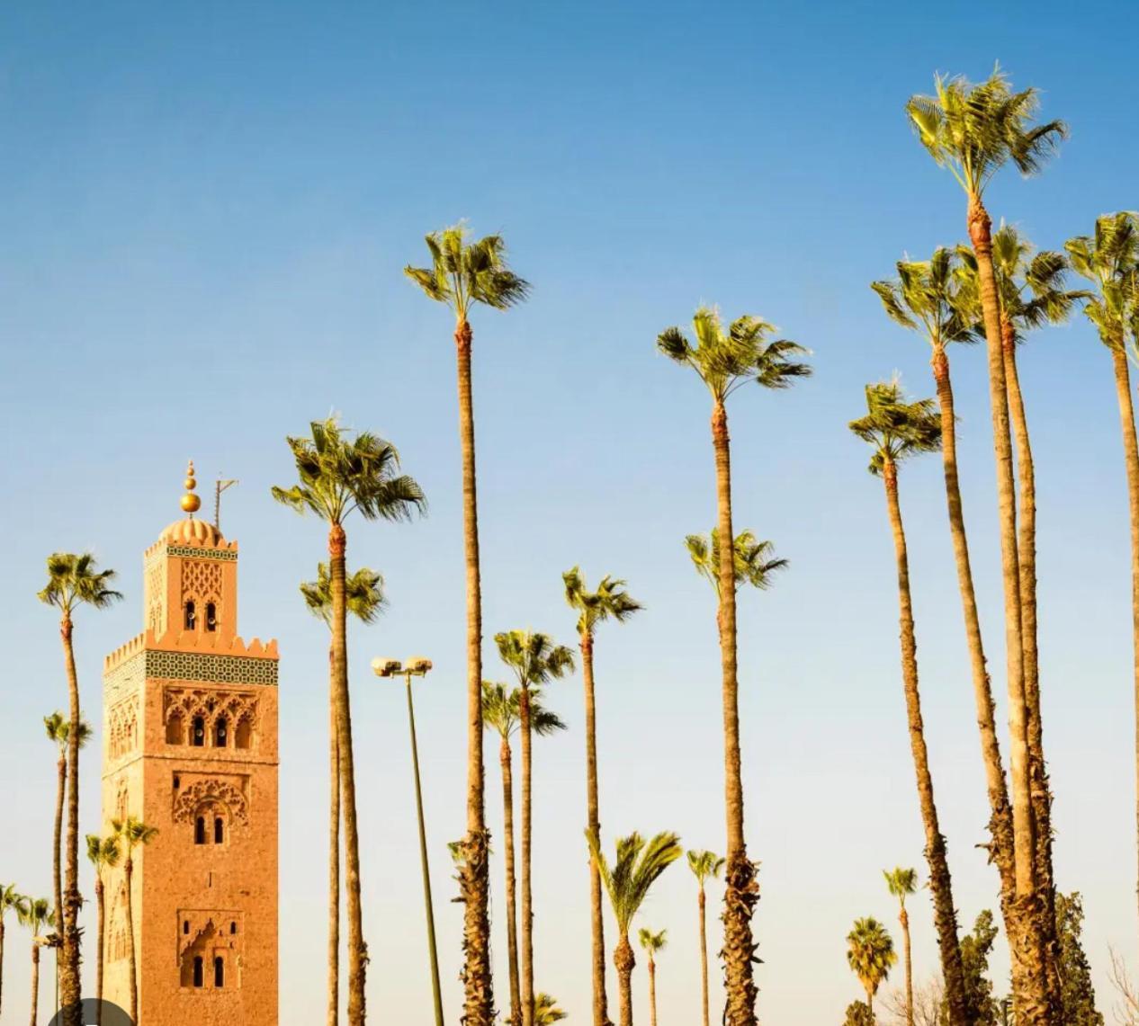 Magnifique Spacieux Confort Propre Familial 2 Salon Et Salle A Manger A 20mn A Pied De Place Jemaa El Fina 4 Piscines Dans Espace De Golf A 12 Mn En Voitures L Entree Est Gratuit Pour La Clientele Ouvert Entre 10h Et 20h * Marrakesh