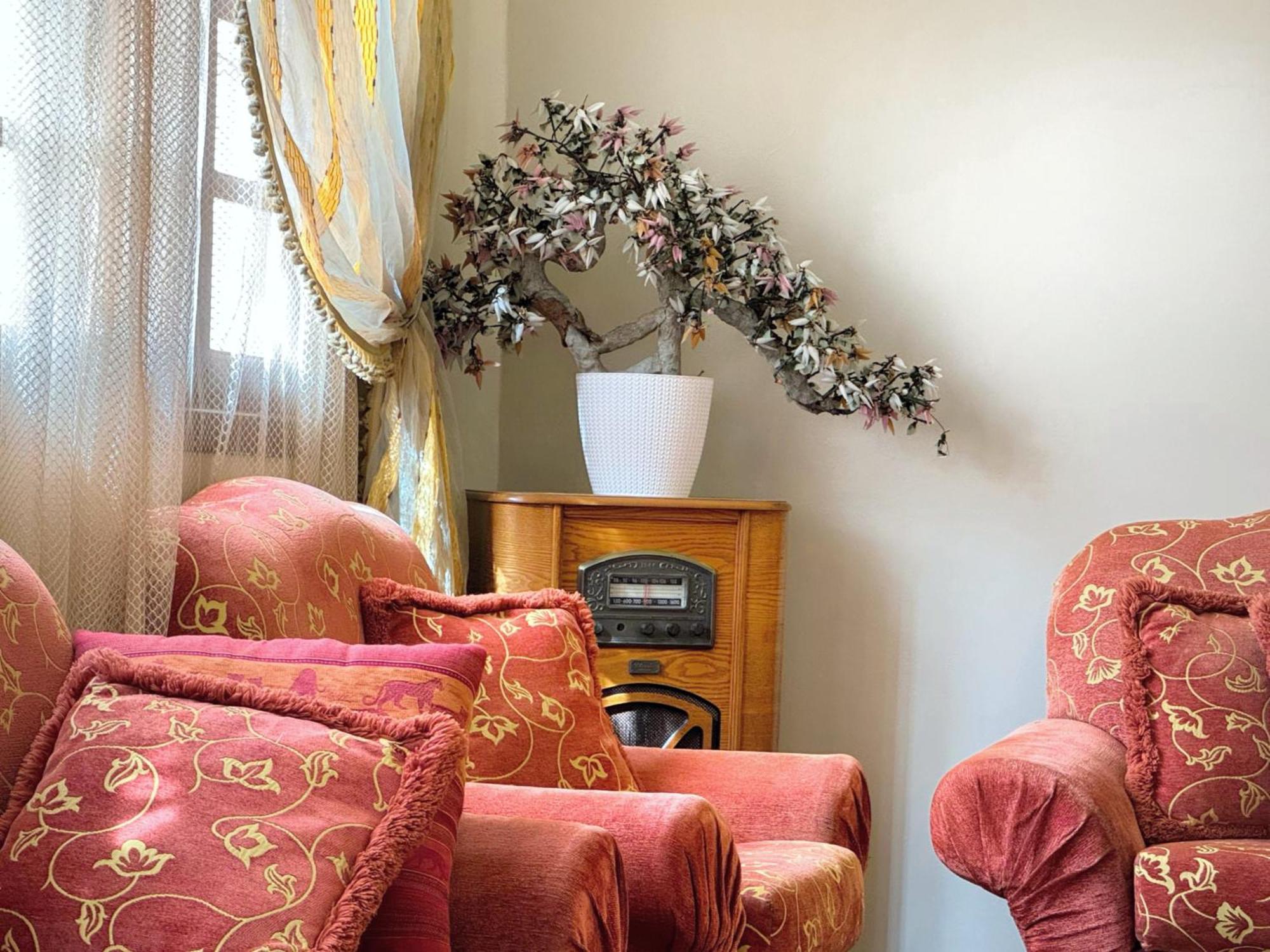 Oranger Family House Center, Private Large House, Terasse Garden View, Free Parking Appartamento *