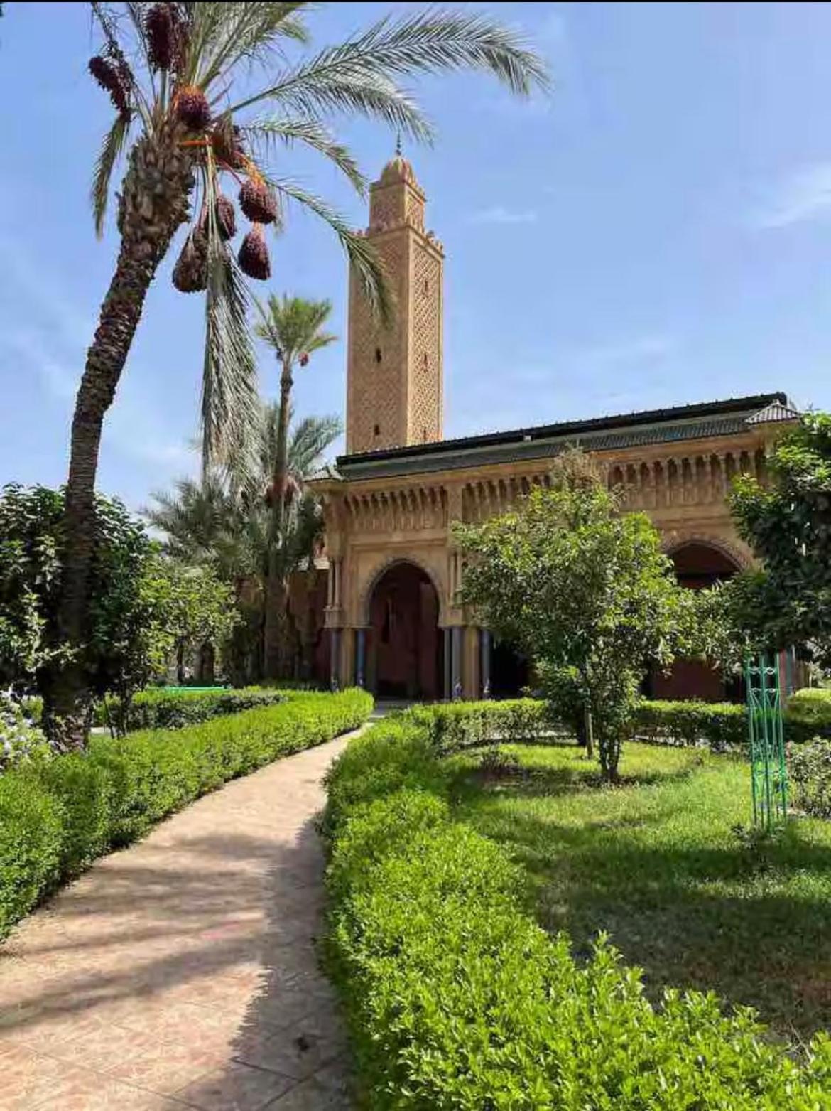 Riad Abdo *