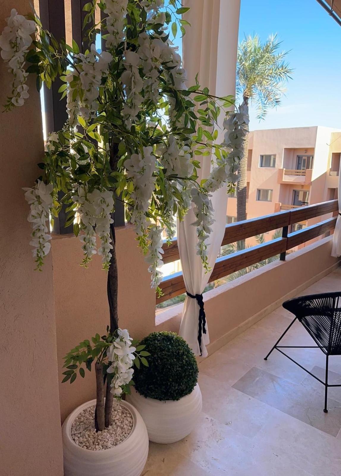 Prestige Cocon Appartement *