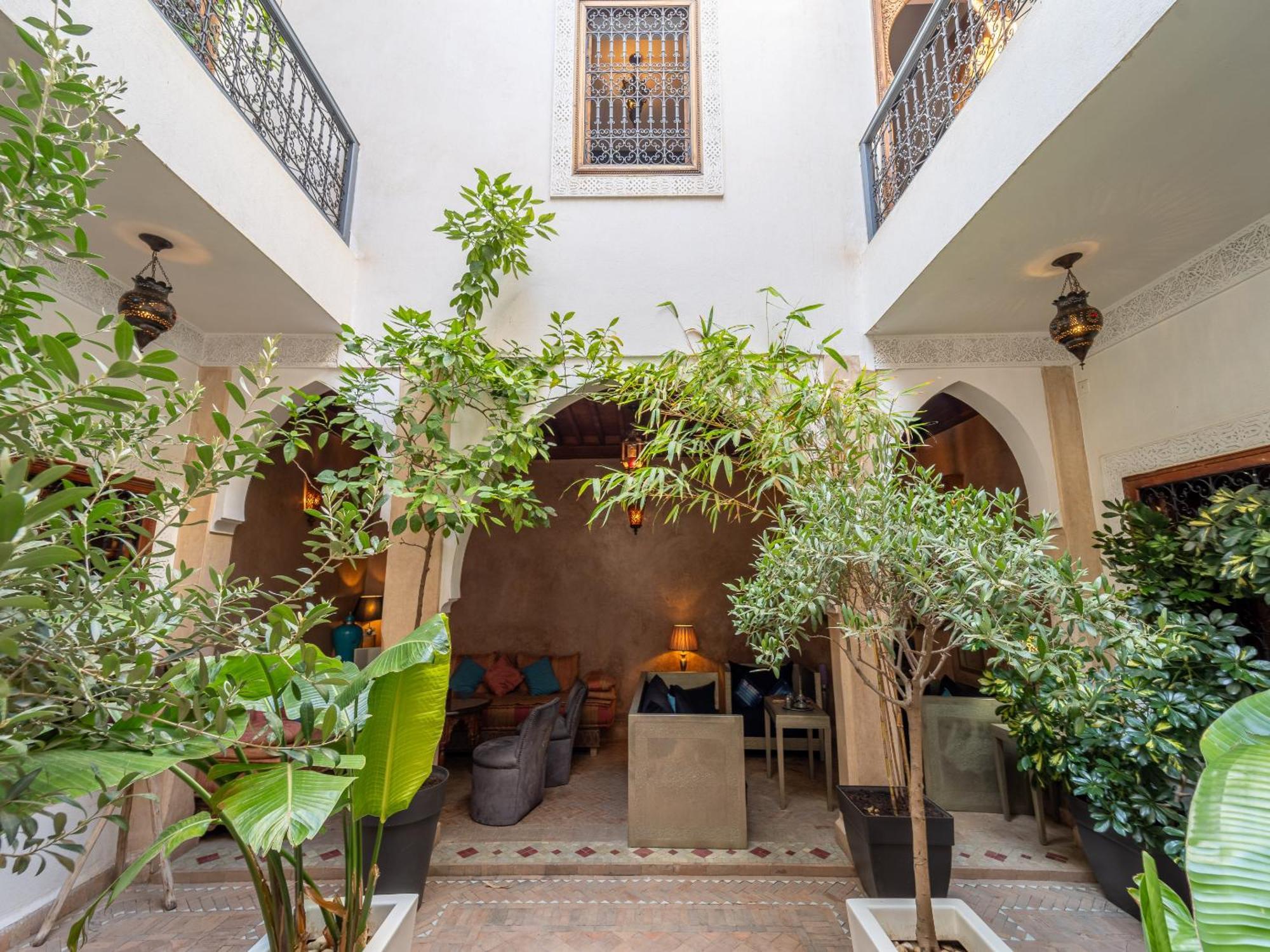 Serendip * Marrakesh