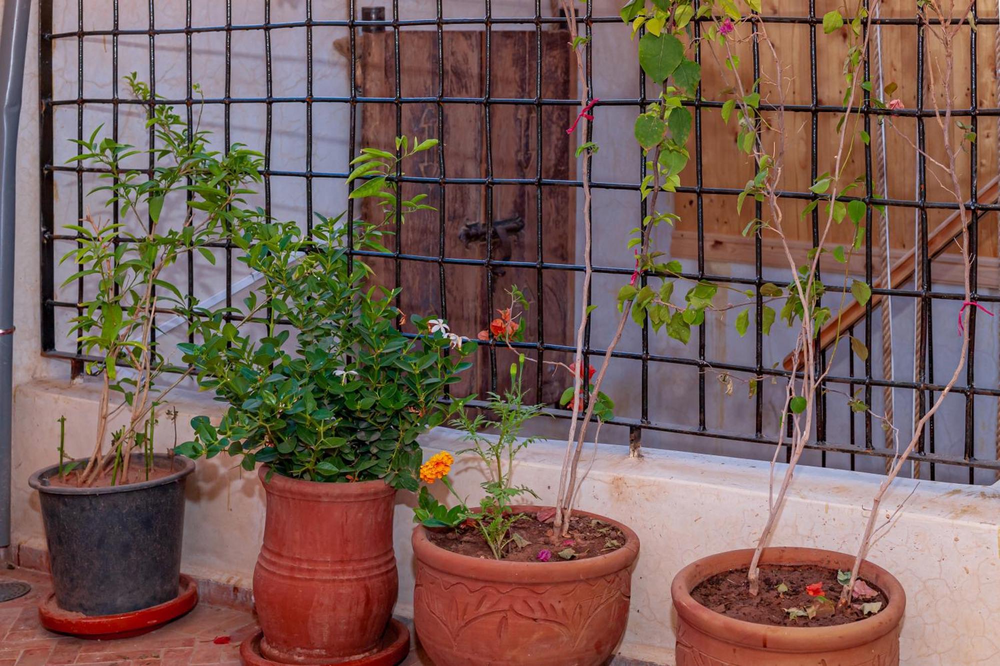Riad Akkioui Marrakesh